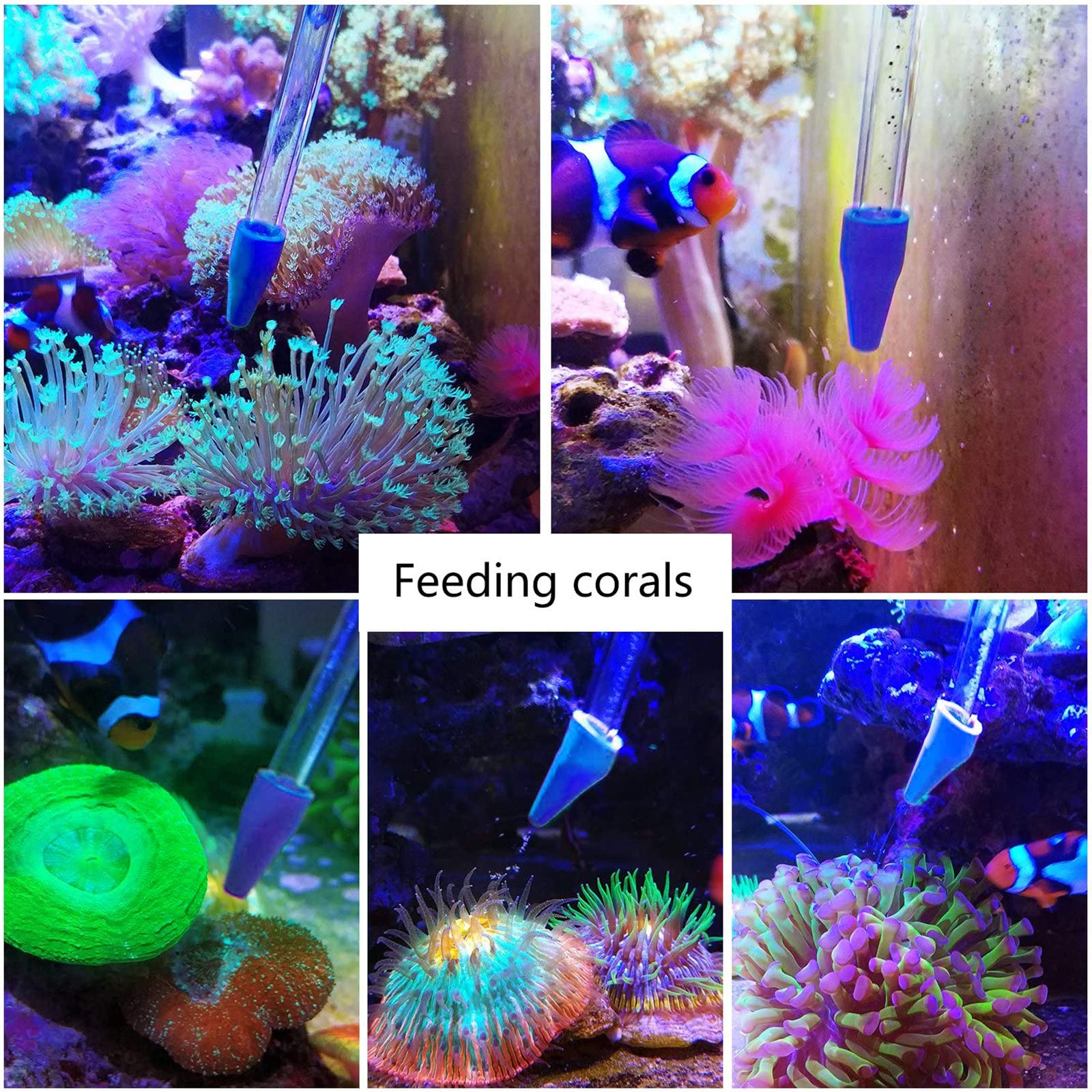 Aquarium Choice Coral Feeder Long Syringe Tube Liquid Fertilizer Feeder SPS HPS Marine Reef Coral Feeder Tool Fish Excreta Clean