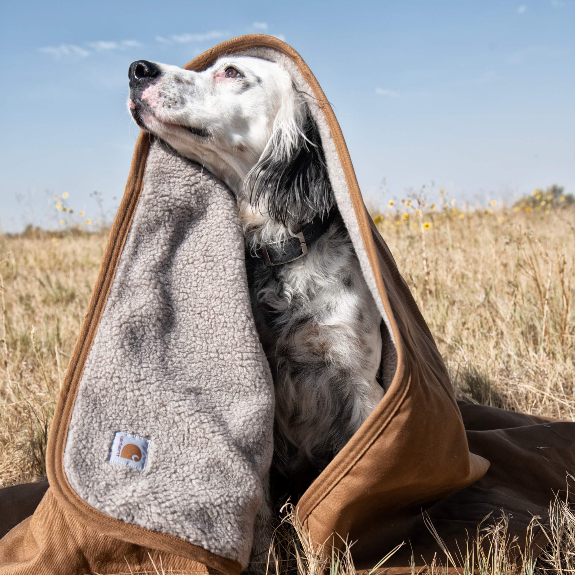 Carhartt Firm Duck Sherpa-Lined Throw Blanket, Reversible Pet Blanket With Water Repellent Coating, Carhartt Brown