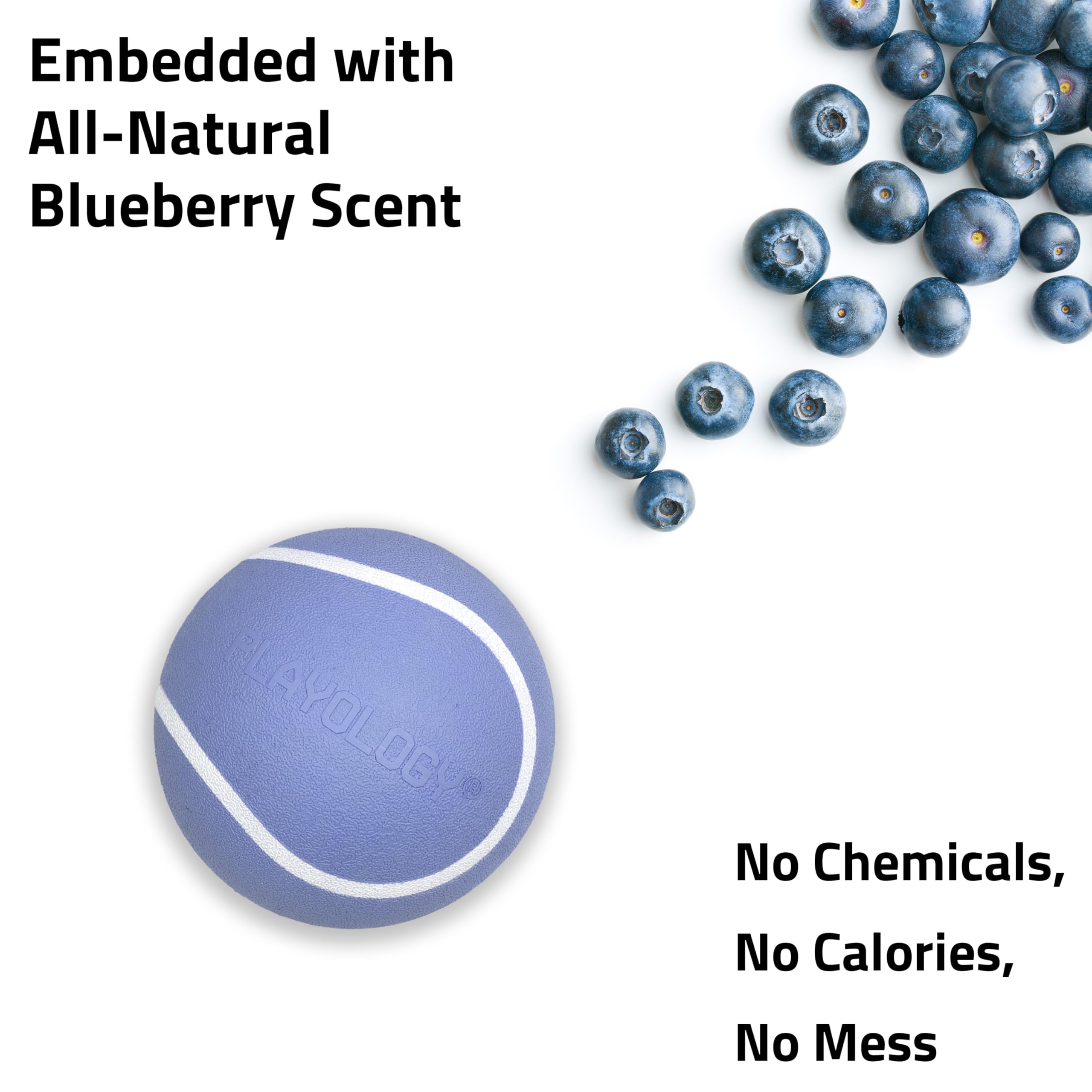 Playology Dog Toys | Squeaky Chew Ball - Bouncy Durable Floating Fetch Ball for Dogs | Medium Blueberry Scented Toy - Easy to Cl
