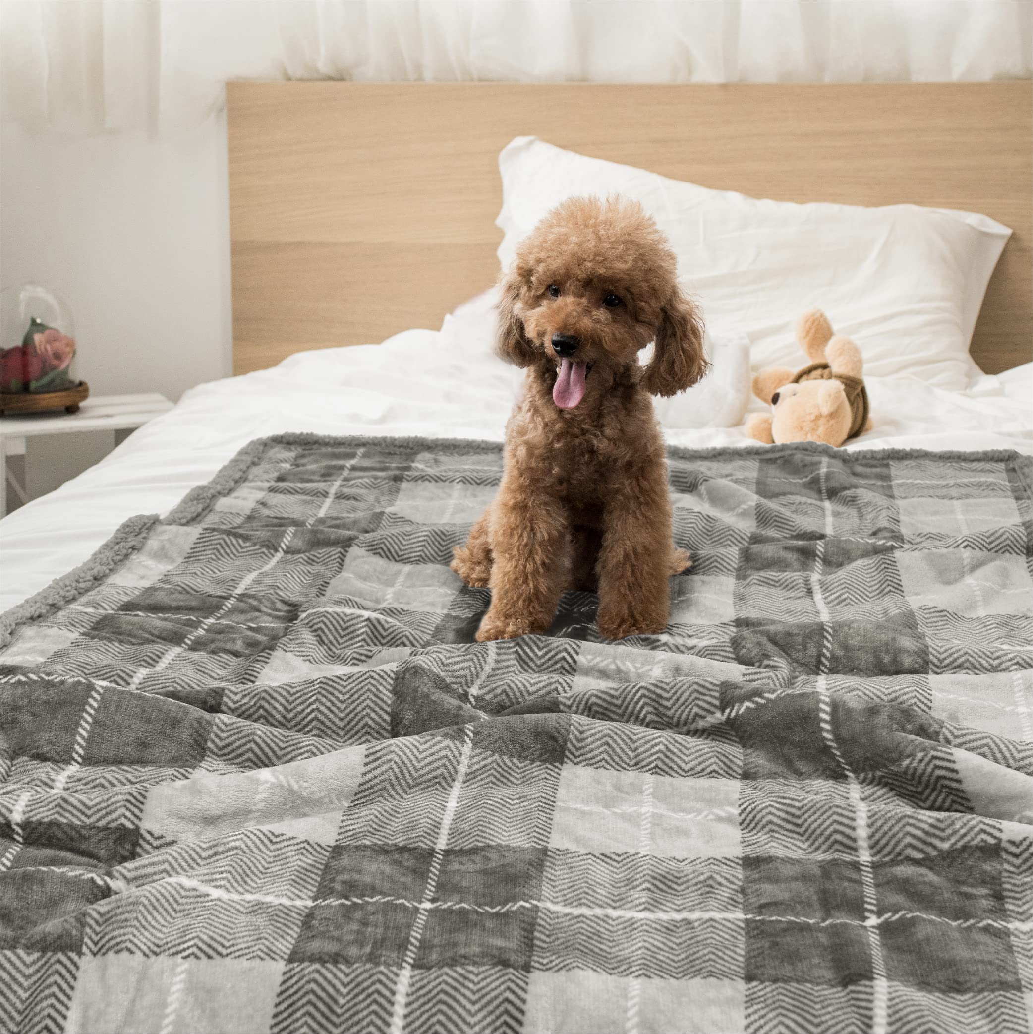 Petami Dog Blanket For Medium Large Dogs, Pet Bed Blanket Cat Puppy Kitten, Fleece Furniture Couch Cover Protector Sofa Car, Soft Sherpa Dog Throw Plush Reversible Washable, 40X60 Plaid Light Gray