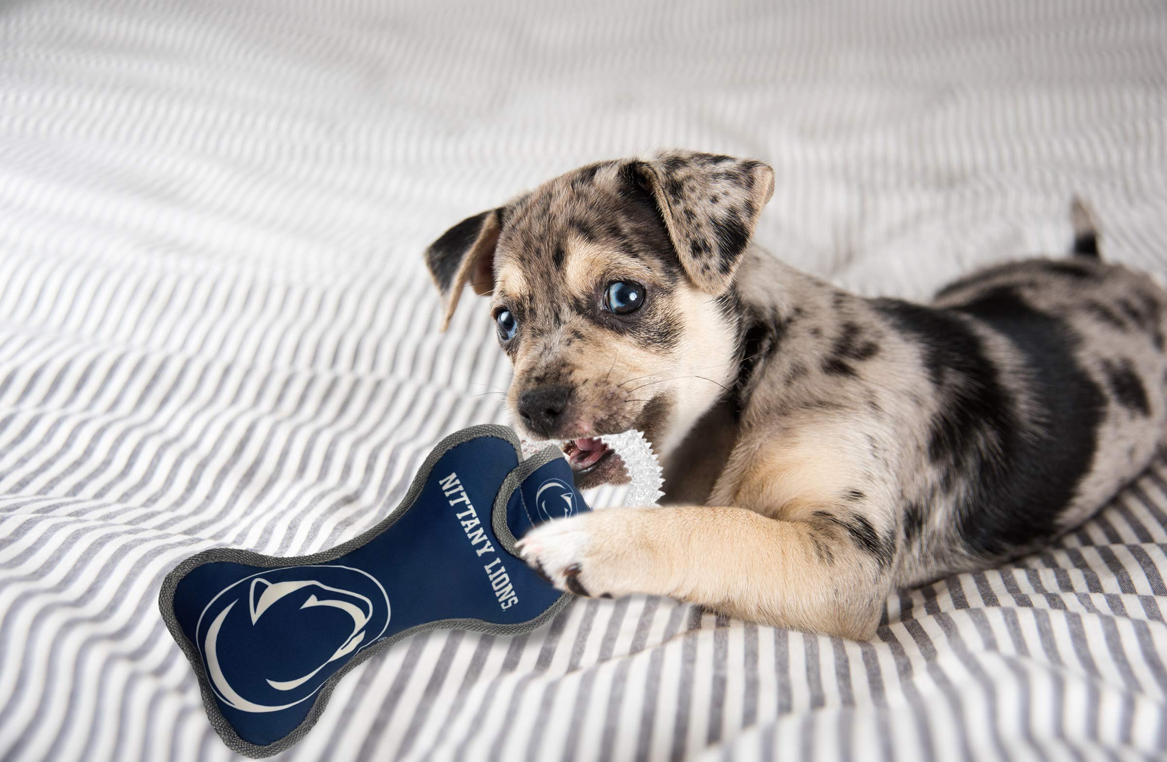 Pets First Ncaa Penn State Nittany Lions Dental Dog Tug Toy With Squeaker. Tough Pet Toy For Healthy Fun, Teething & Cleaning Pe