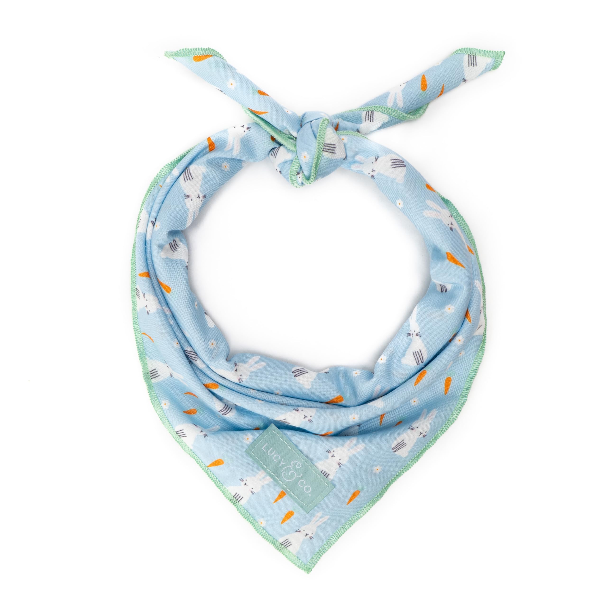 Lucy & Co. Funny Bunny Bandana - Durable Comfortable Dog Bandana - Designer Puppy Accessory - Machine Washable - Small - Blue Gr