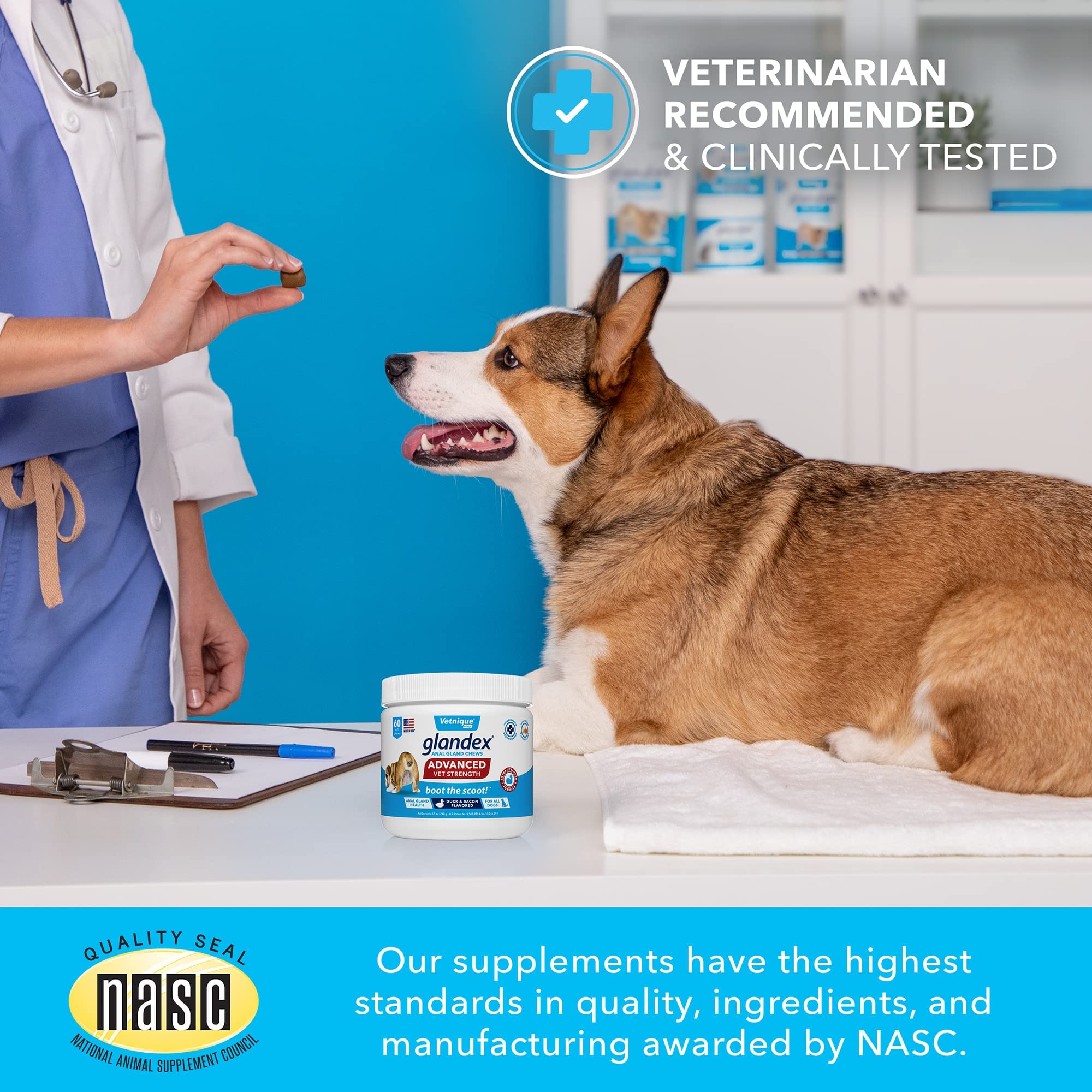 Glandex Anal Gland Soft Chew Treats with Pumpkin for Dogs Digestive Enzymes, Probiotics Fiber Supplement for Dogs Boot The Scoot