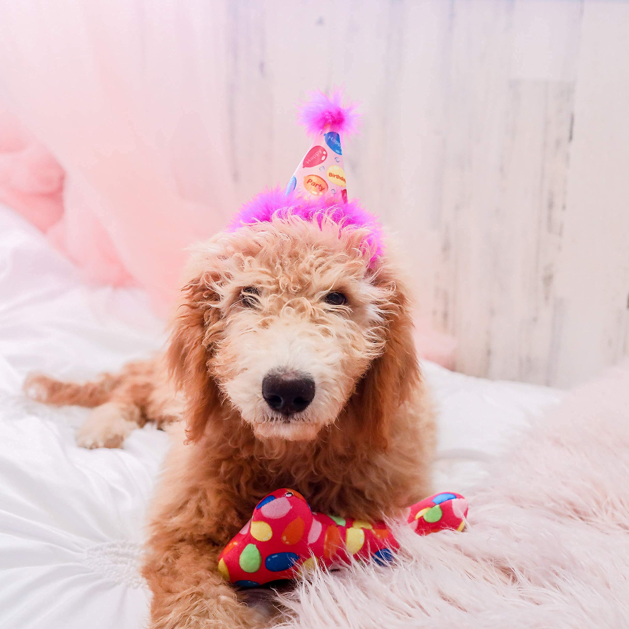 Huxley & Kent For Dogs - Party Time Pink Bone (Large) - Birthday Power Plush Dog Toy With Squeaker - Funny & Cute Dog Toy - H&K