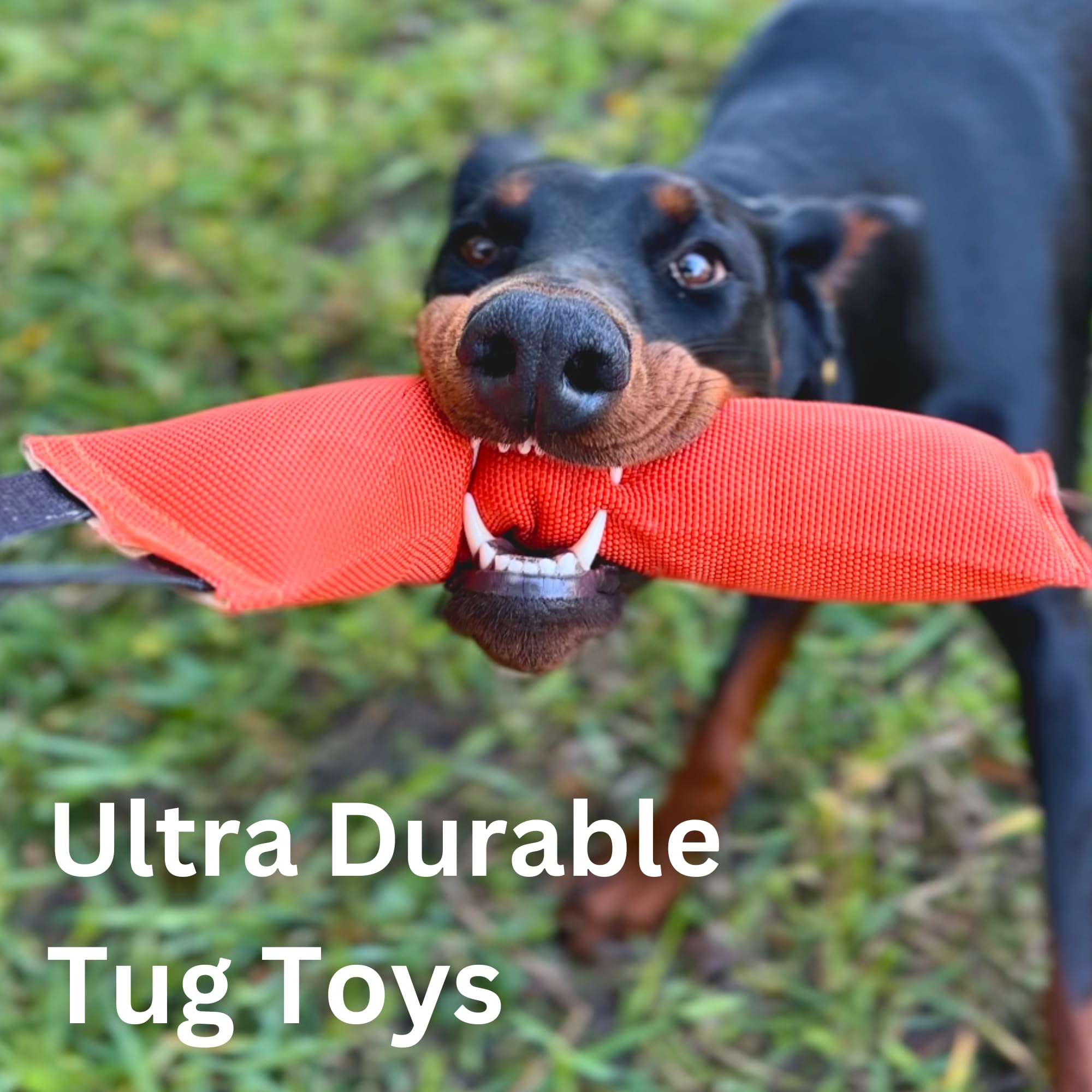 Fenrir 12 Inch Rugged Fire Hose Dog Tug Toy For Large Dogs No Squeaker, Firm Stuffing For Canines (Rope Handle)