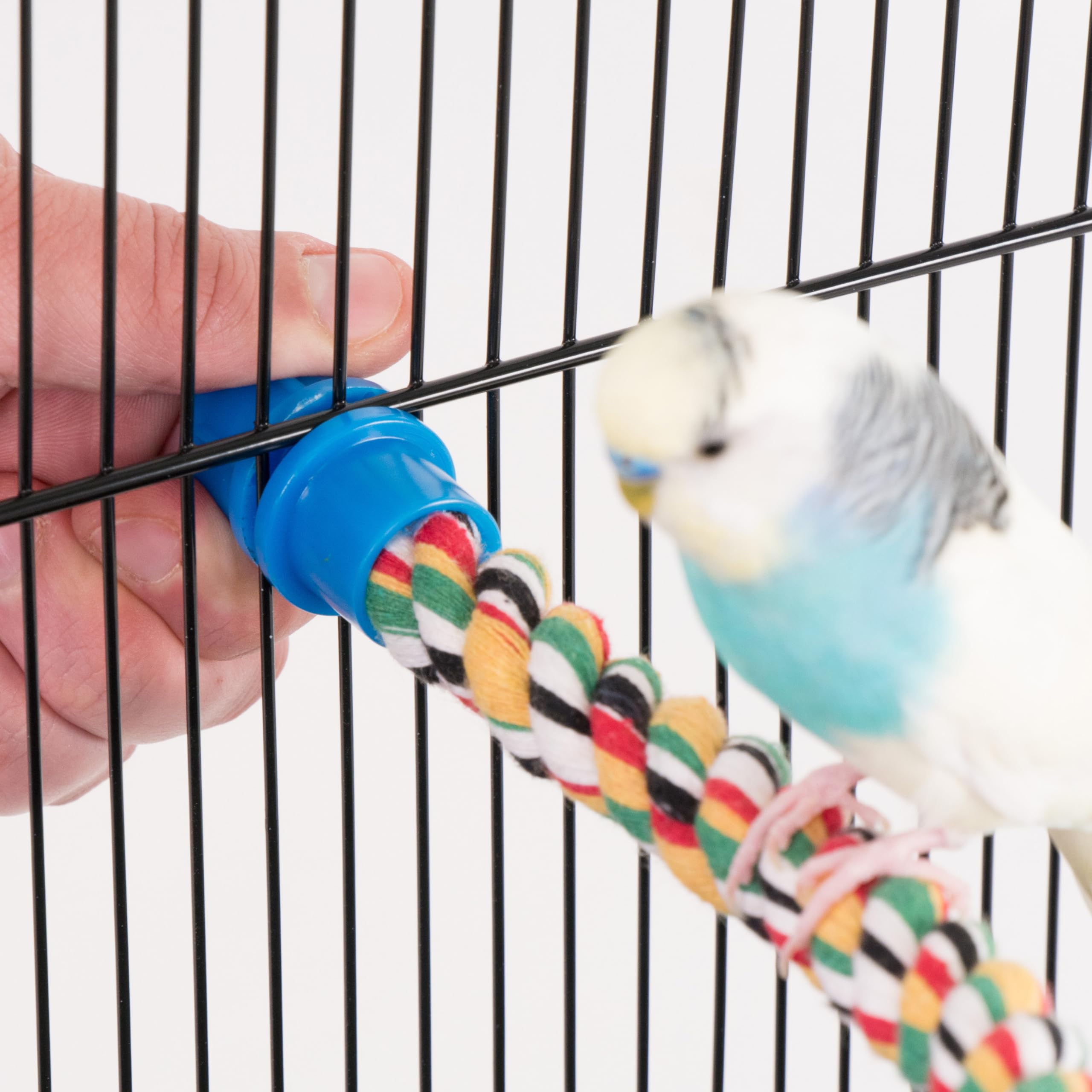 Penn-Plax Bird Life Multicolored And Flexible Rope Perch – Create Fun, Colorful Curves And Bends – Great For Small And Medium Birds – 21” Long