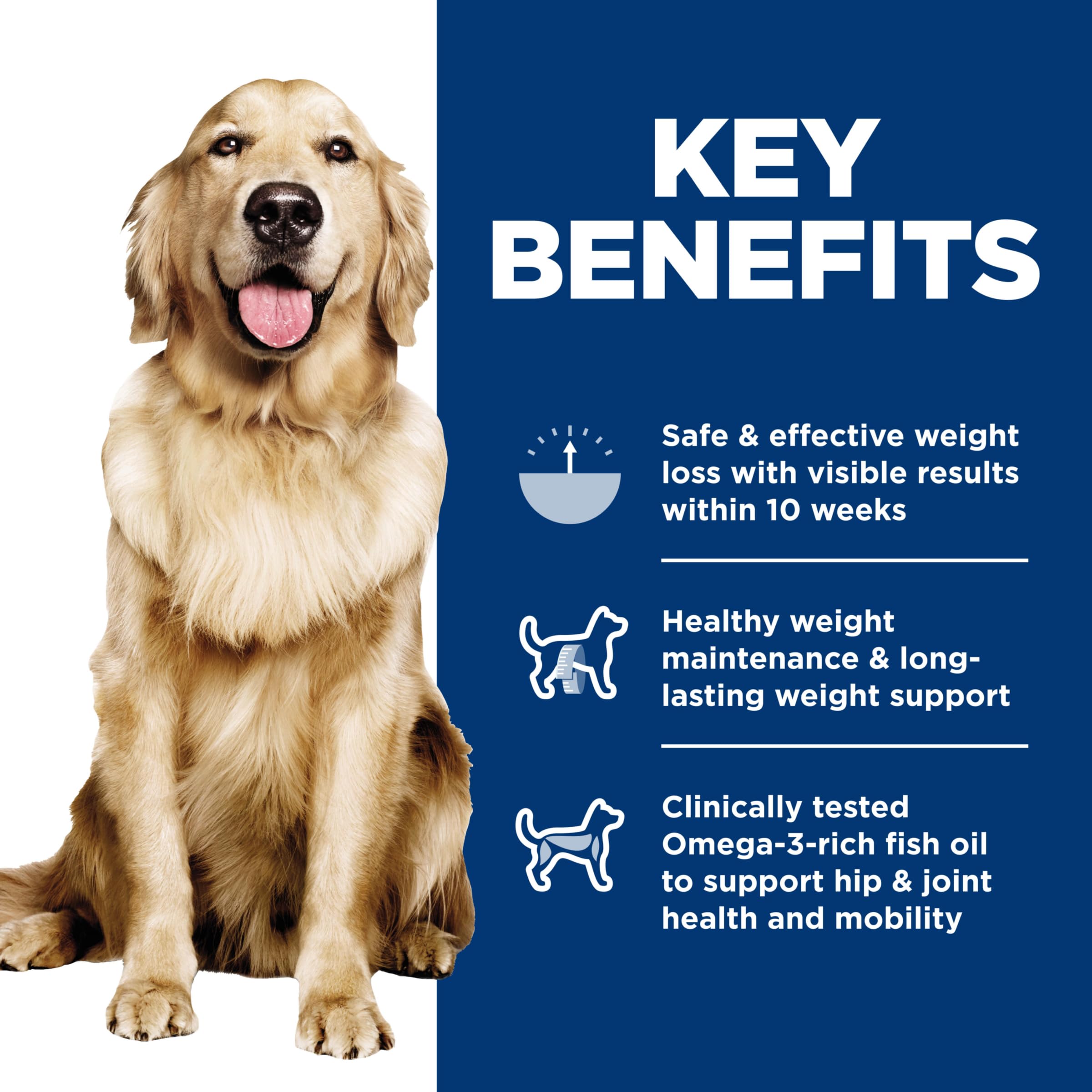 Hills Science Diet Perfect Weight, Adult 1-6, Weight Management Support, Wet Dog Food, Salmon & Vegetables Stew, 12.5 oz Can, C
