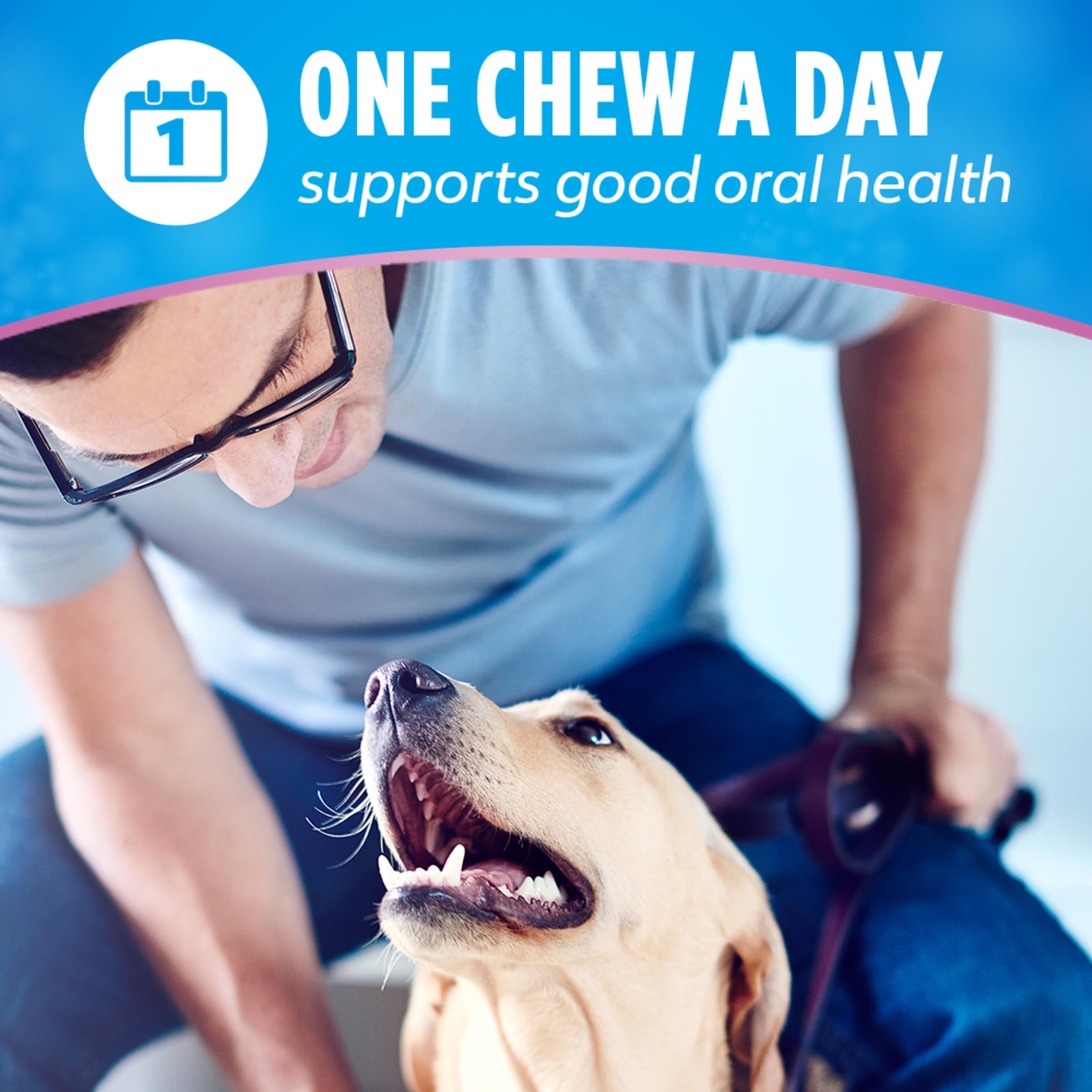 Dentalife Plus Digestive Support Dog Treats for Large Dogs 40 lbs. and up, Cleans Teeth, Freshens Breath, & Supports Healthy Gut