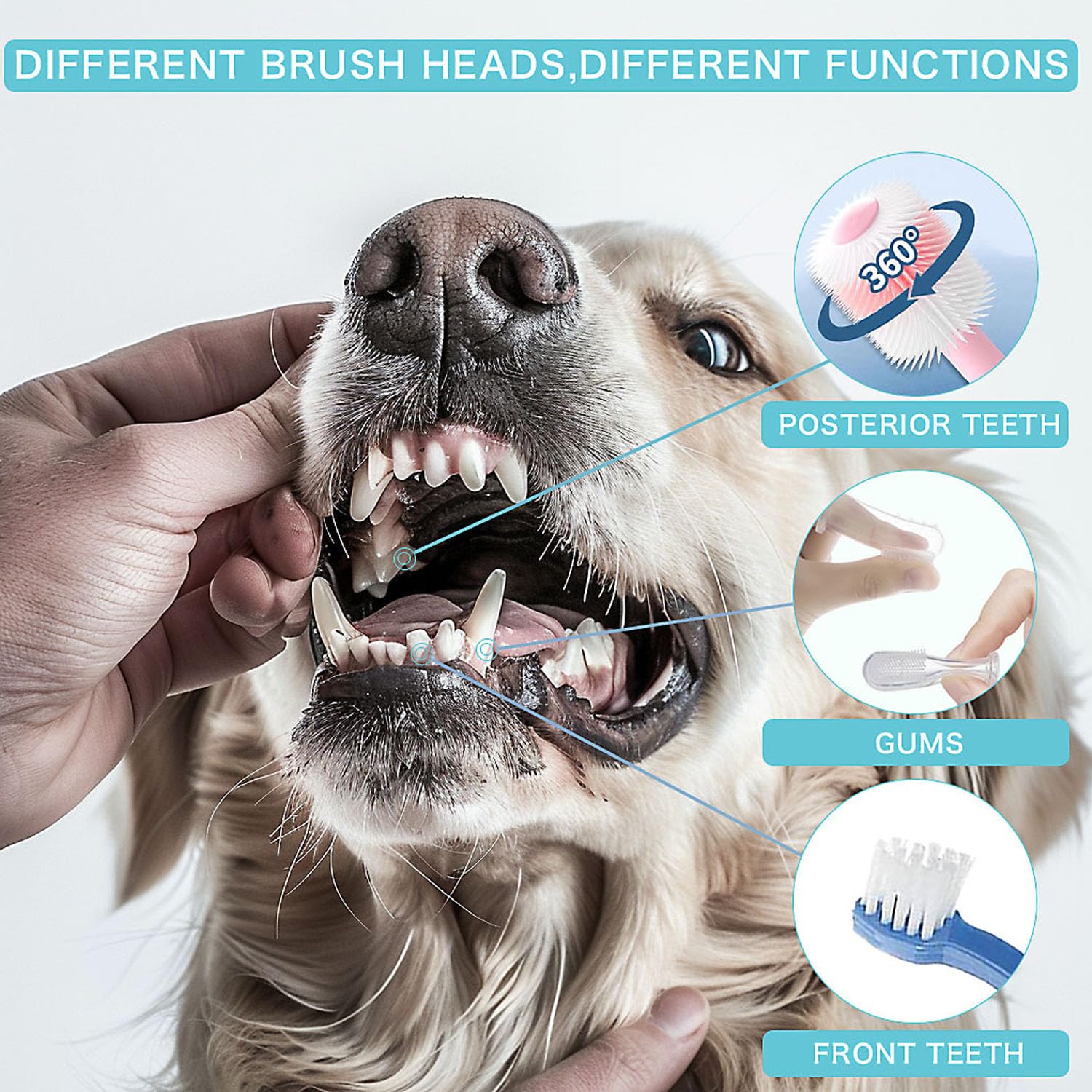 URMYONLY Dog Toothbrush, 360 Degree Finger Toothbrush, Triple Head Toothbrushes,Cleaning Brushes for Dog Cat Oral Dental Health