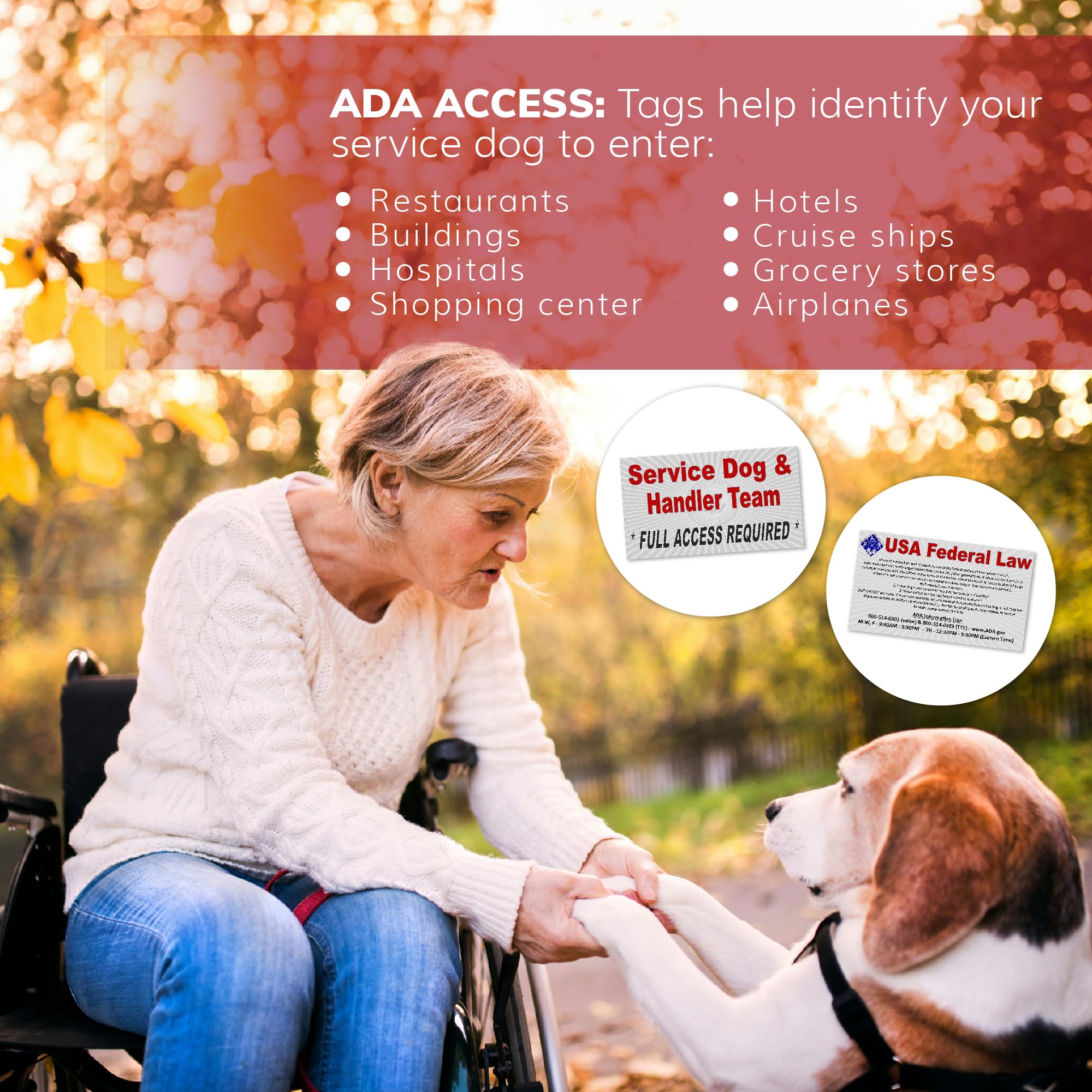 Activedogs Service Dog Vest Harness + Clip-On Bridge Sturdy Handle + Id Card Carrier + Ada Cards + Reflective Service Dog Patches - Extra Large Service Dog Harness Vest Xl Dogs (Girth 29”-40”) Red