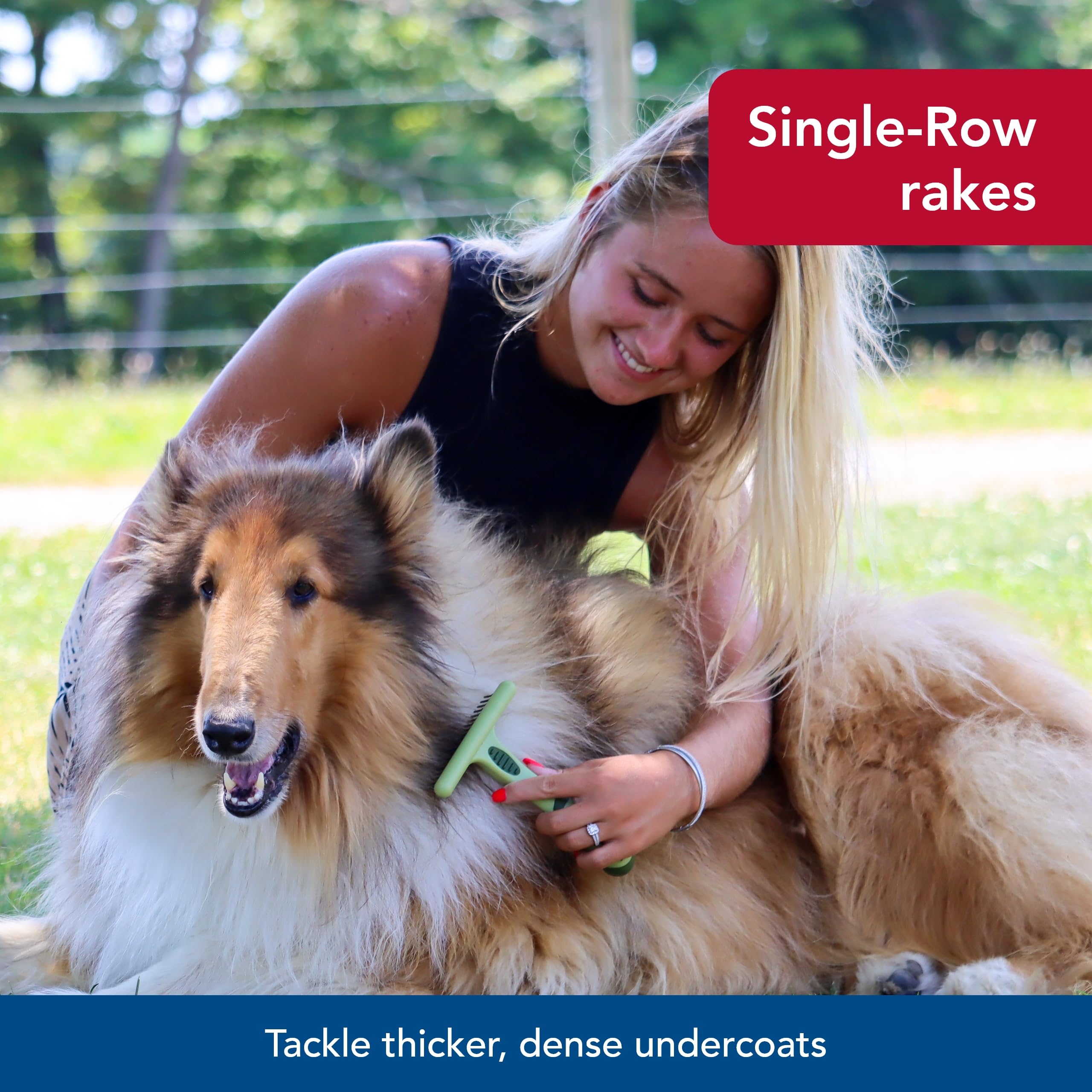 Coastal Pet Safari Single Row Undercoat Rake - Gentle Dematting And Deshedding Tool For Dogs, Pet Grooming Comb