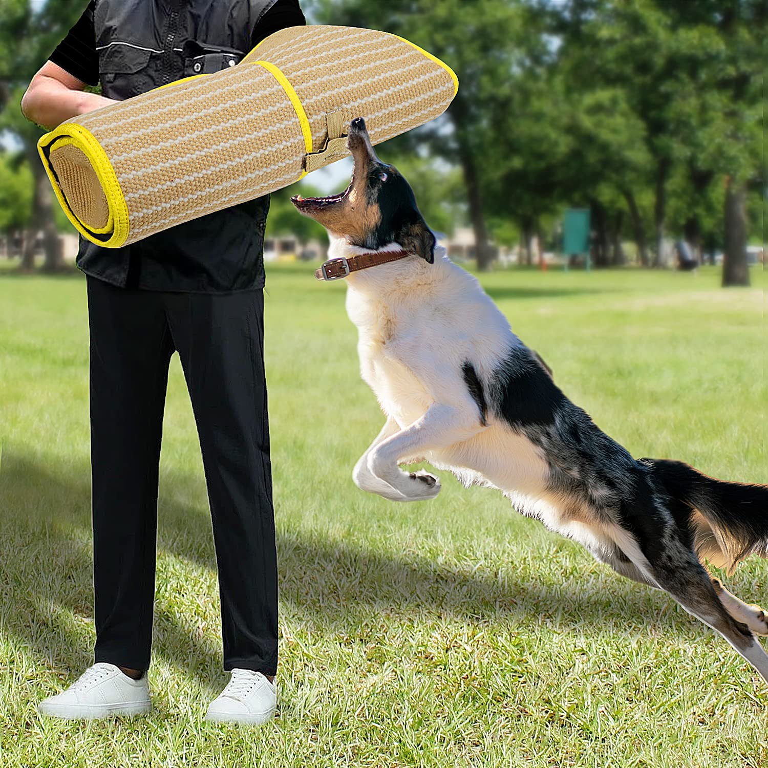DGSL Dog Bite Training Set - Dog Bite Sleeve, Dog Bite Pillow Tug Toy, Dog Training Stick - Professional Training Equipment for
