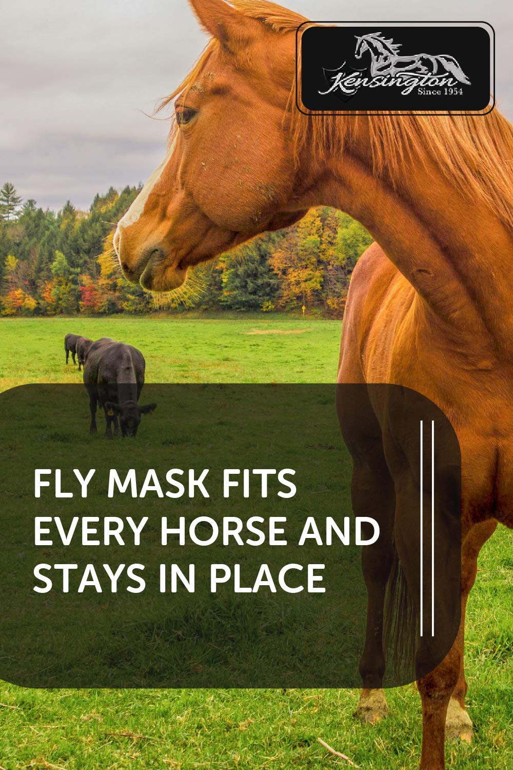 Kensington Fly Mask with Fleece Trim for Horses - Protects Face and Eyes from Flies and Sun Rays While Allowing Full Visibility