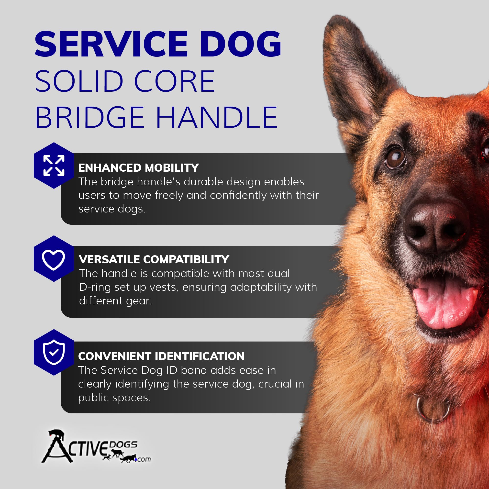 Activedogs Service Dog Handle, 12 Inch, Solid Core Aluminum, T-Shape Or Round Or Rectangular, Made In Usa, Includes Molded Rubbe