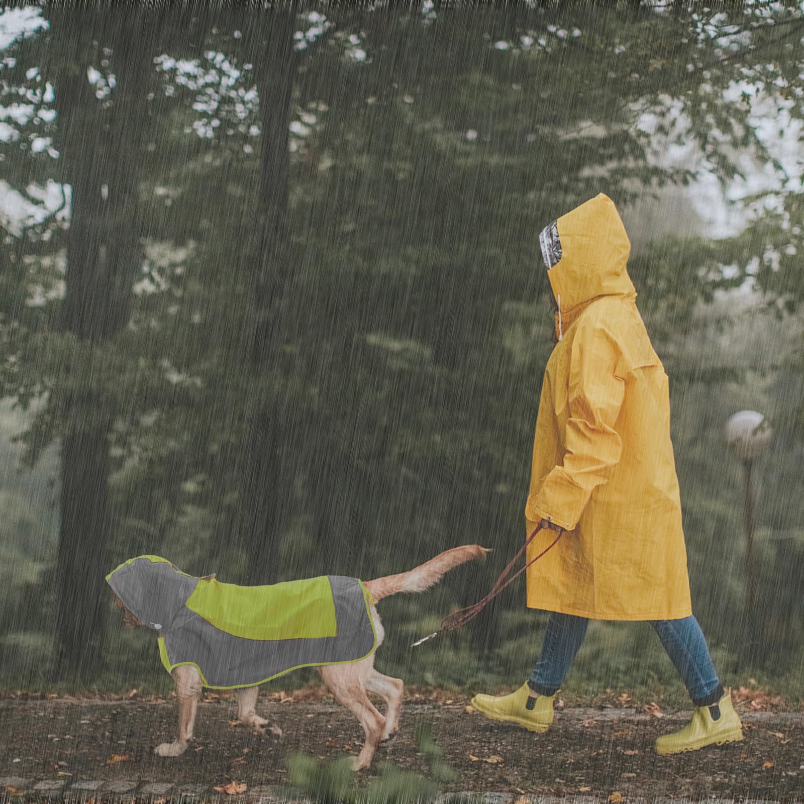 Iecoii Dog Raincoat, Waterproof & Windproof Dog Rain Jacket With Reflective Strips For Rainy Walks,Pet Rain Poncho With Hood,Qui