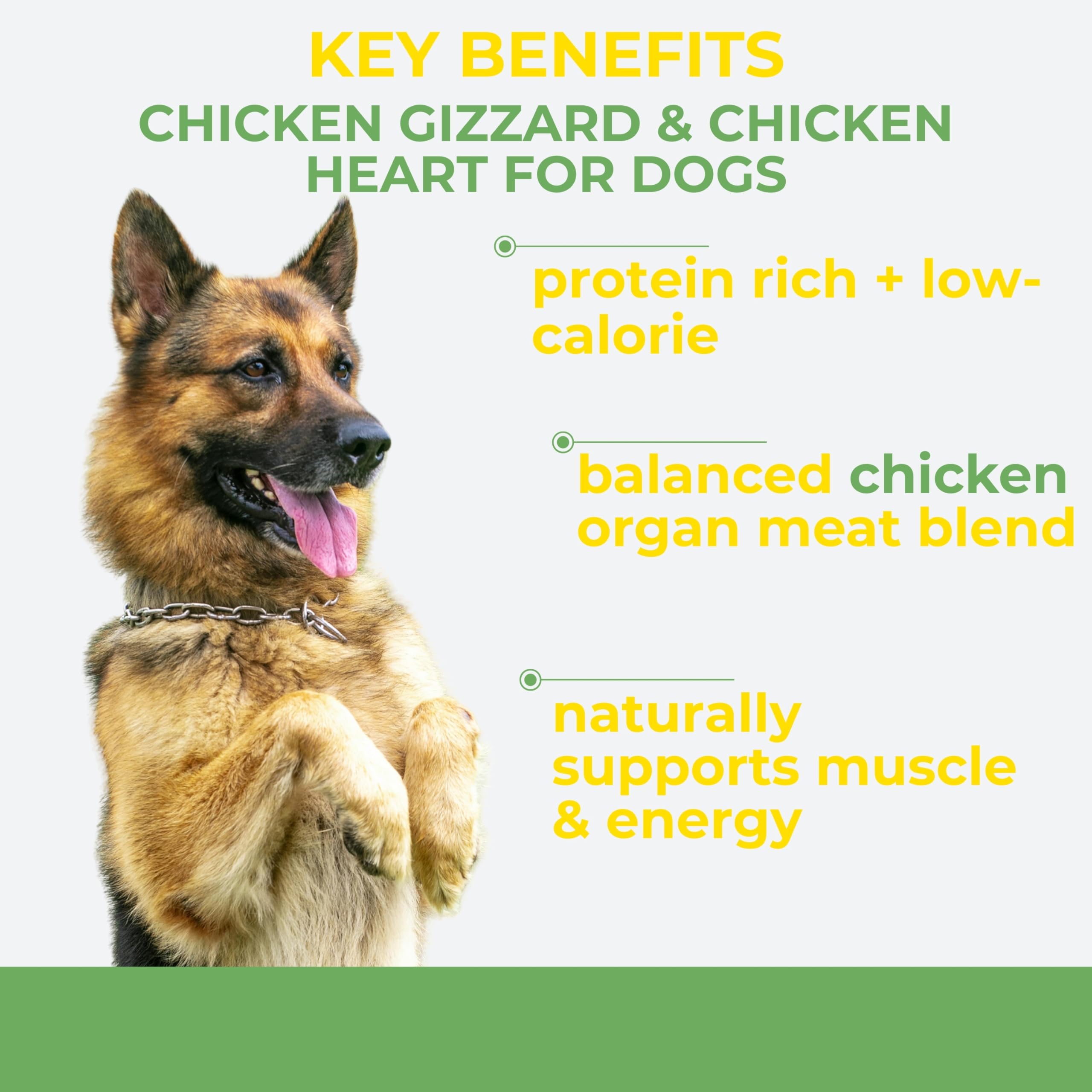 Momentum Carnivore Nutrition Freeze-Dried Chicken Training Bites - Two Ingredients-Chicken Gizzard and Heart, All-Natural Dog Tr