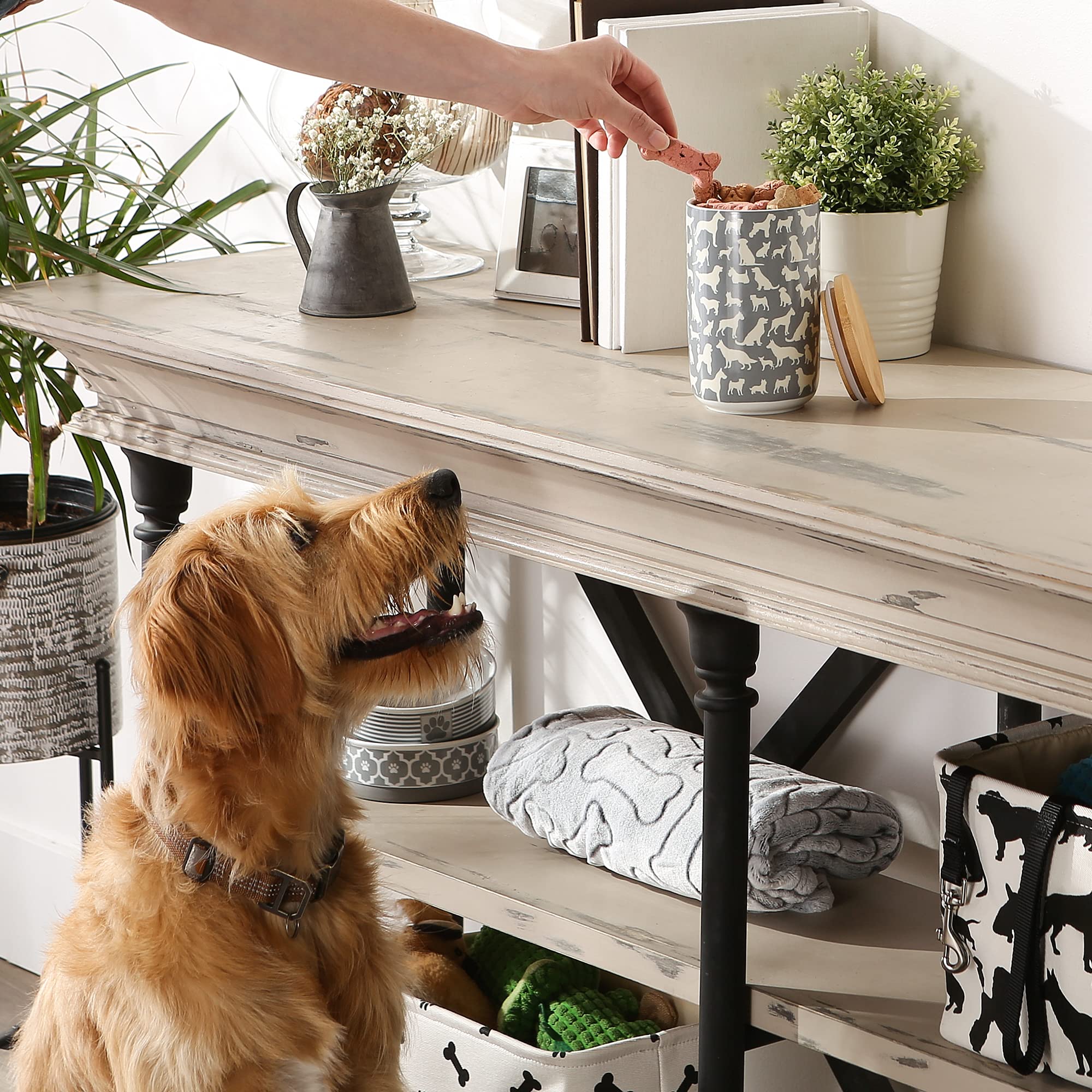 Bone Dry Ceramic Treat Jar for Cats and Dogs, Bamboo Lid, Dishwasher Safe Canister, 4x6.5, Gray, Dog Treats