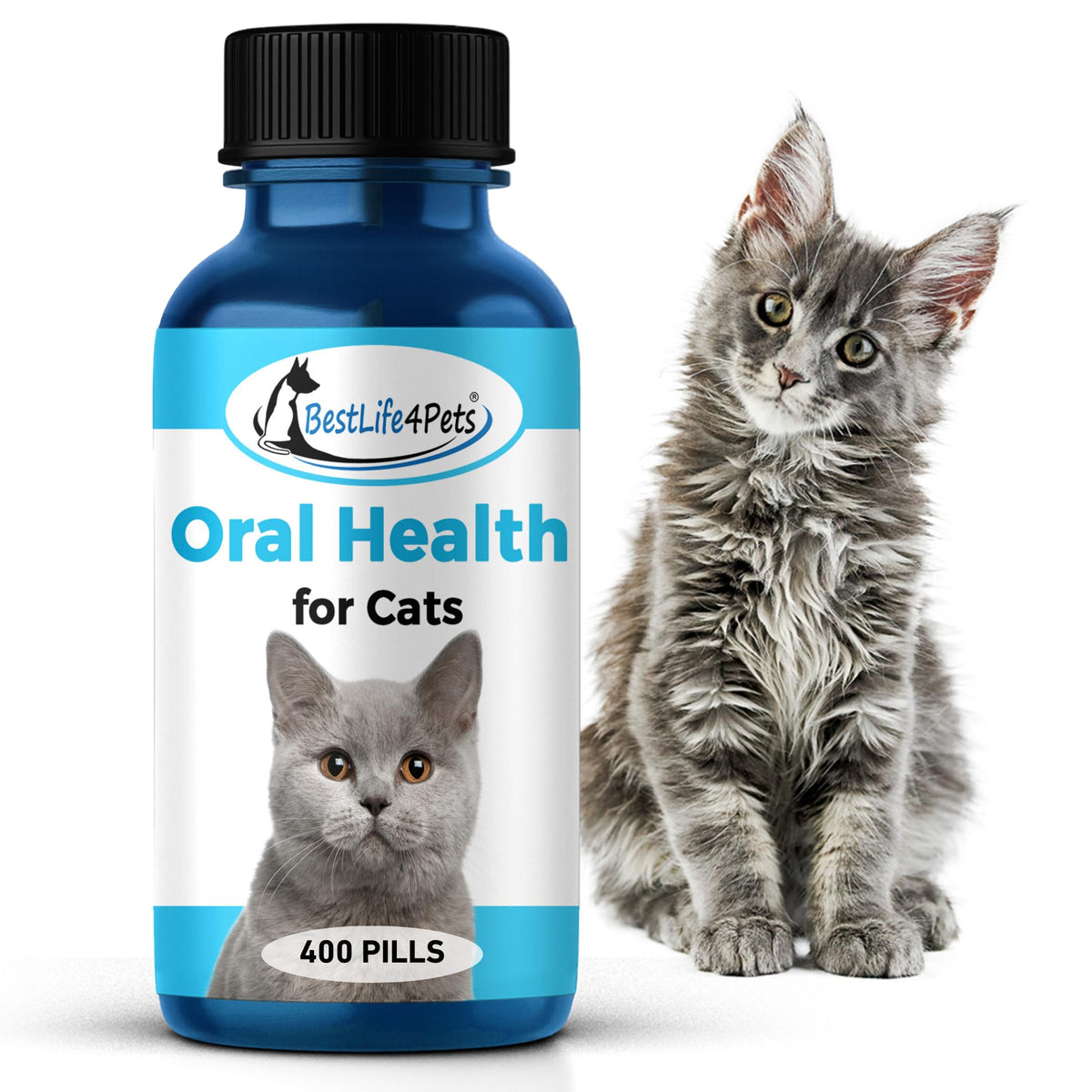 Bestlife4Pets Oral Health For Cats - Cat Dental Care Supplement Anti Inflammatory Pain Relief For Stomatitis Gingivitis And Gum 