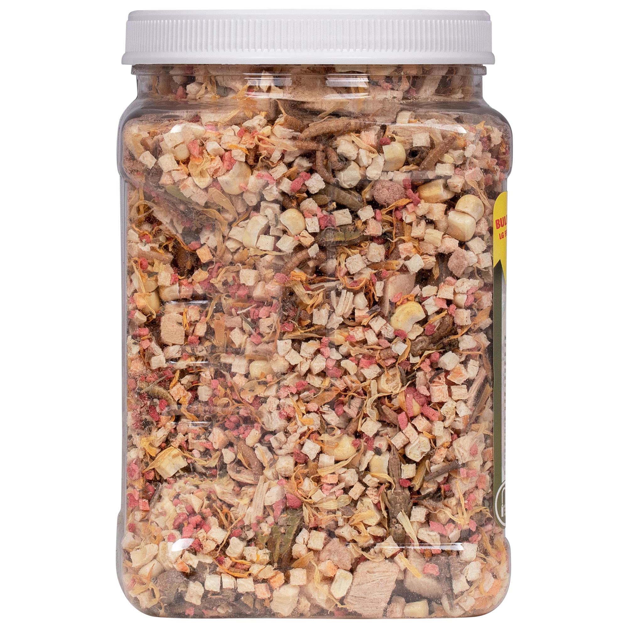 Healthy Herp Box Turtle Food Instant Meal for Reptiles - Nutritious Turtle Food, Tortoise Habitat Accessories, Tortoise Food - M
