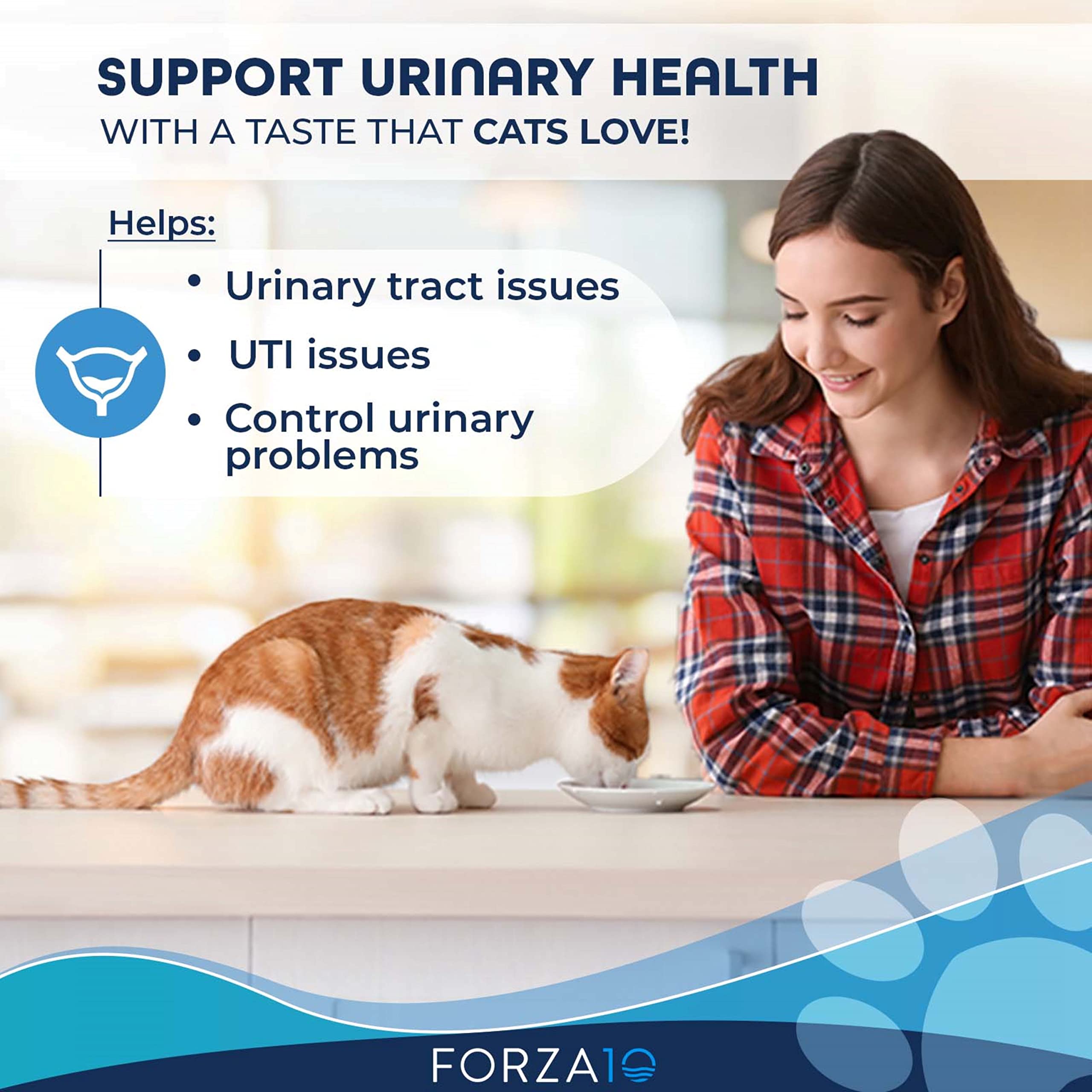 Forza10 Actiwet Urinary Cat Food, Canned Salmon Fish Flavor Urinary Tract Health Cat Food Wet, Vet Approved for Urinary Health,