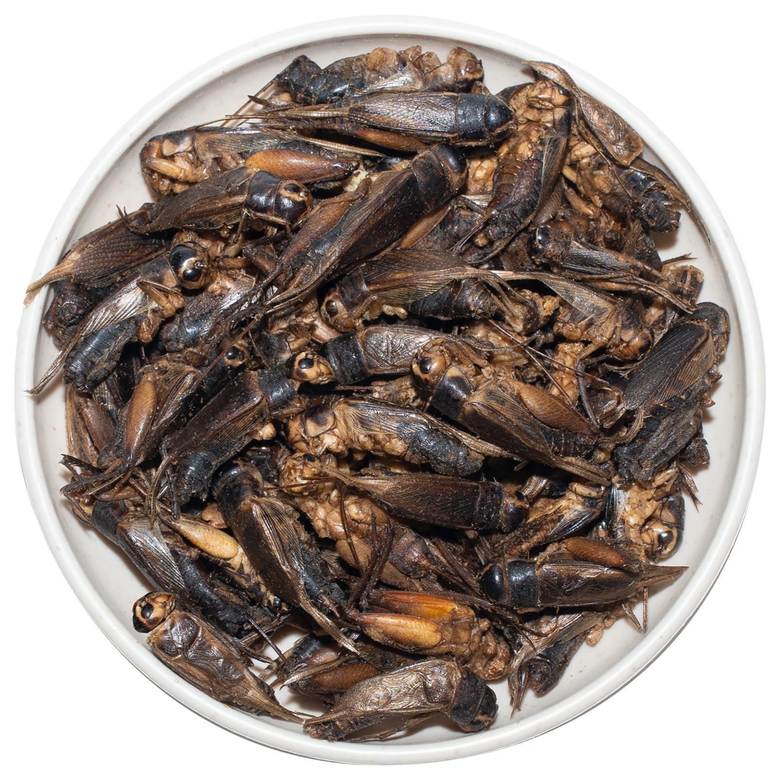JADINGSFARM Freeze Dried Crickets - 4.5 Oz High Protein Freeze Dried Crickets, Food for Reptiles, Bearded Dragons, Lizards, Geck