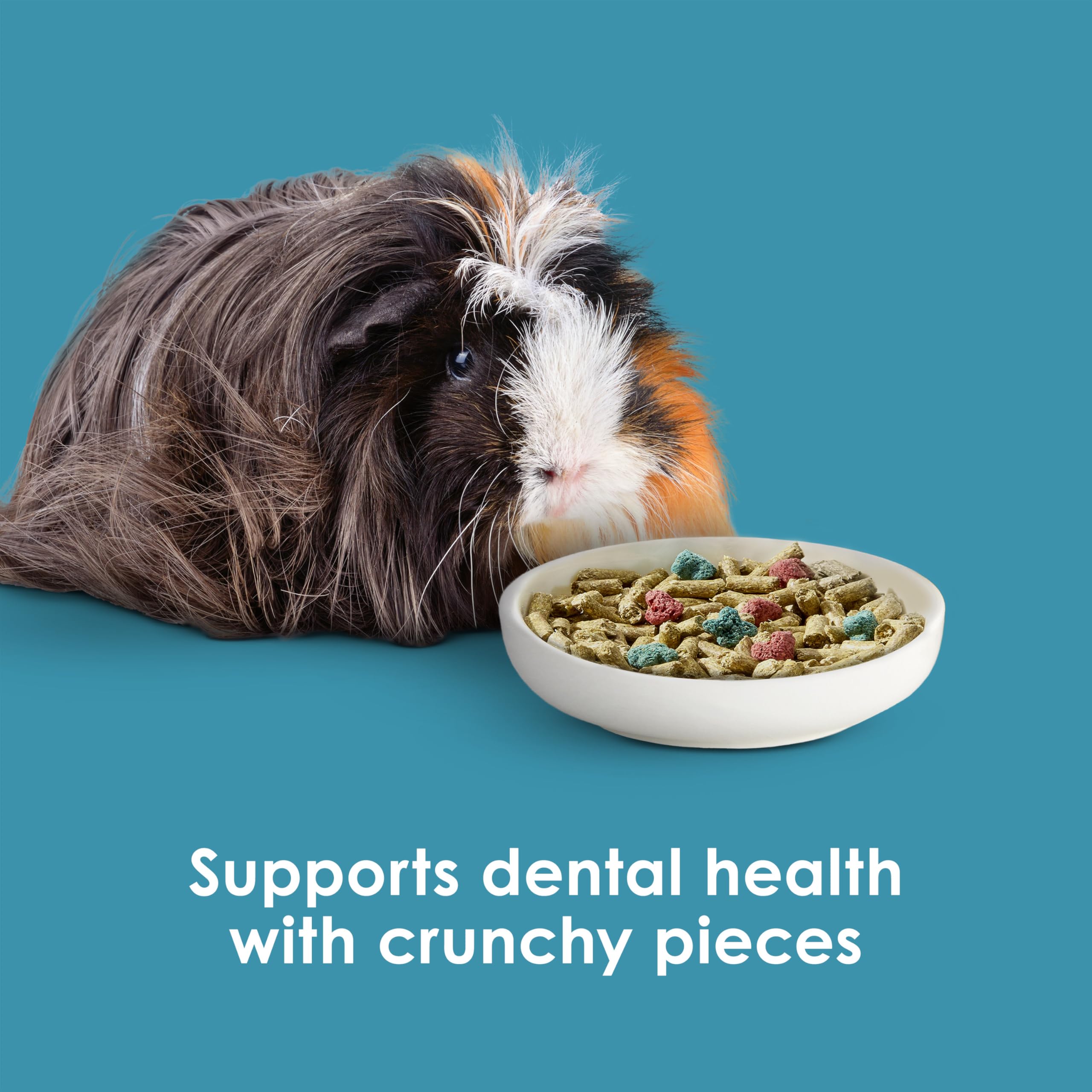Kaytee Forti-Diet Pro Health Nourish+Protect Guinea Pig Food, Comprehensive Nutrition Backed by Science, Digestive Health, Immun