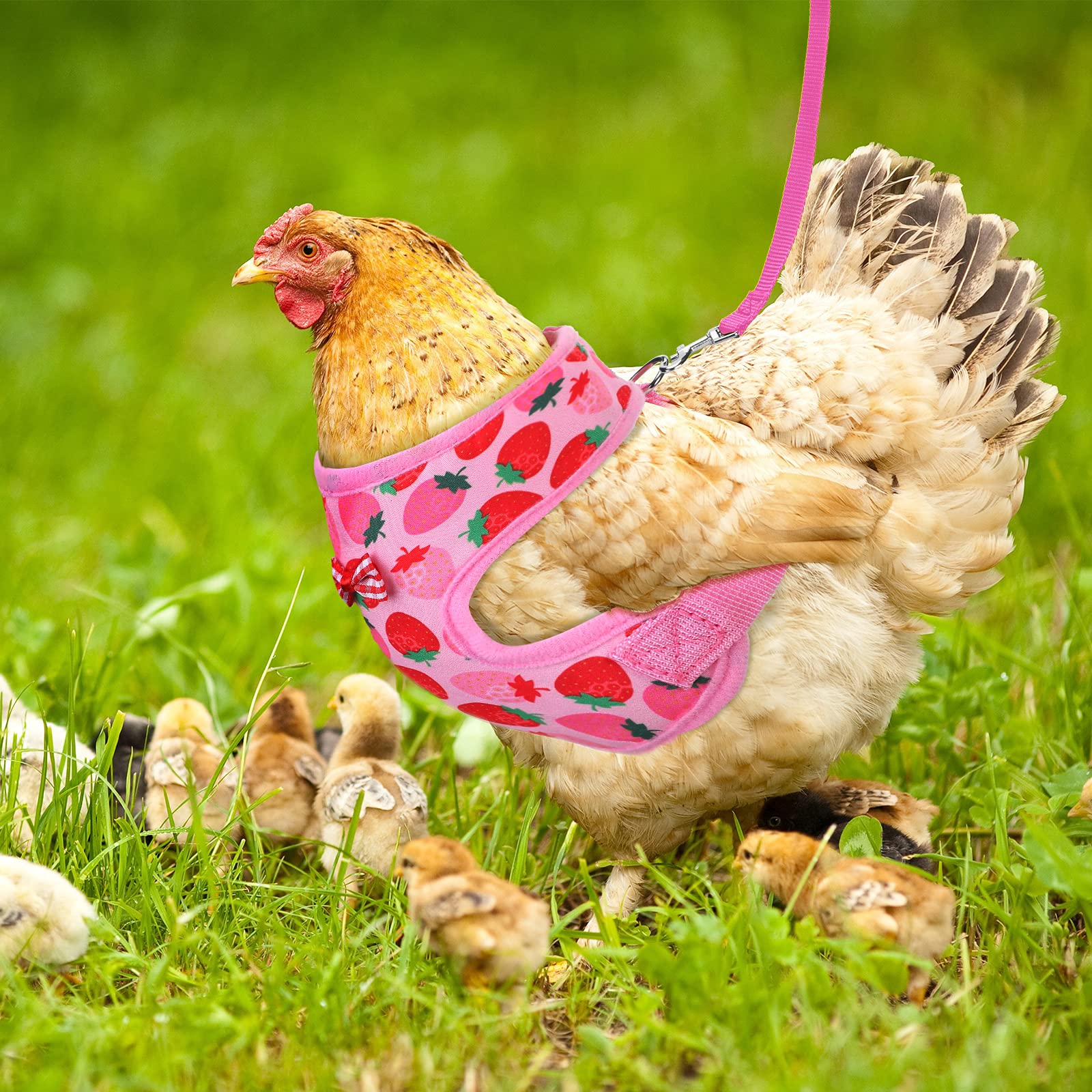 Frienda 2 Pcs Adjustable Chicken Harness And Leash Set Spring Summer Comfortable Elastic Hen Vest Breathable Harness For Hens Duck Goose Pet Training Walking Supplies(Pineapple, Strawberry,Medium)