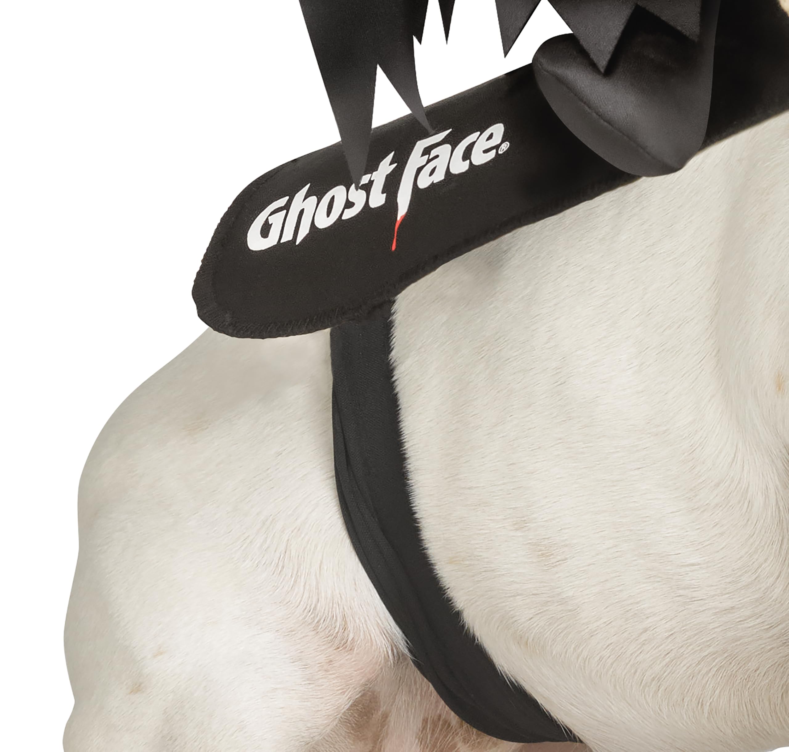 Ghost Face Rider Vest Pet Costume | L/Xl