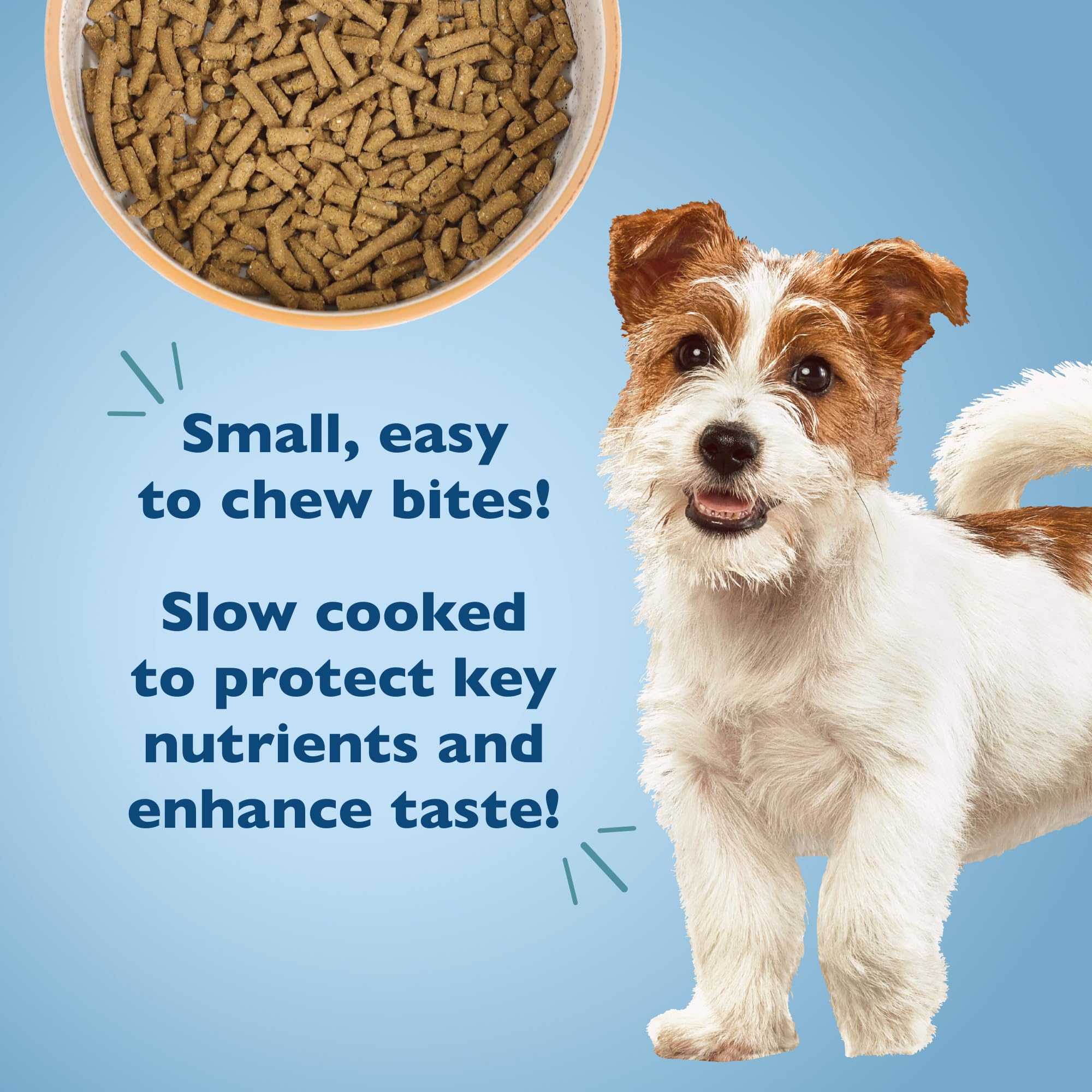 Bil-Jac Puppy Food Small Breed Formula Dry Dog Food 6 lb Bag - Chicken, Oatmeal & Yams - Super Premium Since 1947 (2-Pack)
