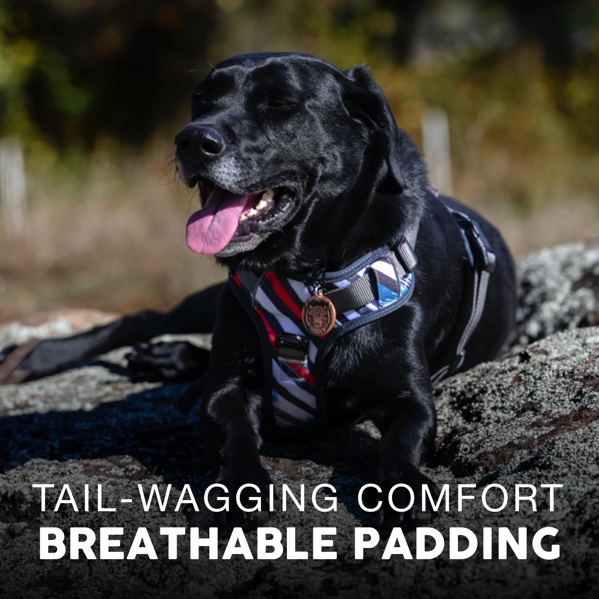 Embark Adventure Dog Harness, Reflective Trim Xl Dog Harness For Extra Large Dogs No Pull - Military Grade Nylon, 2 Leash Clips