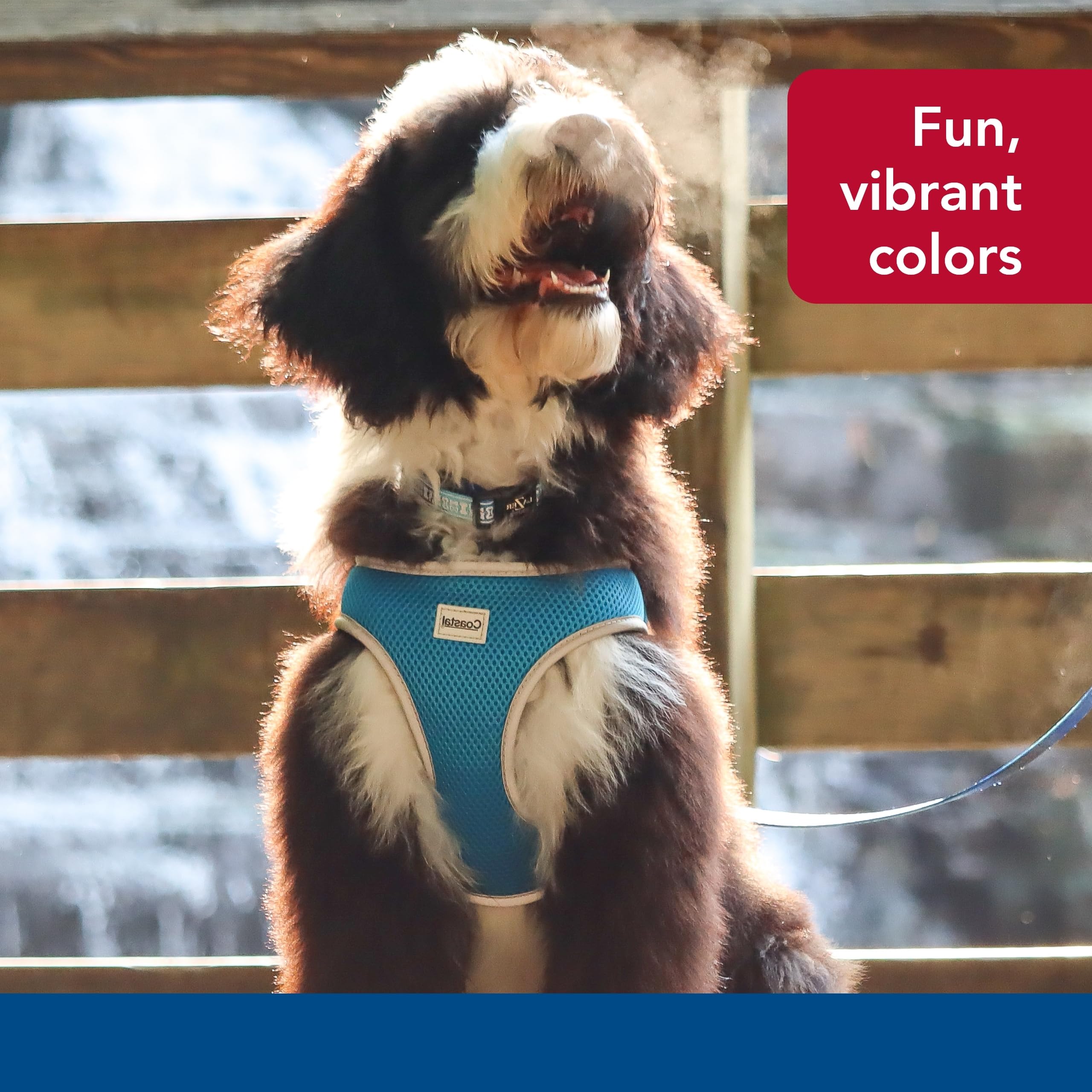 Coastal Pet Comfort Soft Reflective Wrap Adjustable Dog Harness - No-Pull Dog Harness For Small & Large Dogs - Blue Lagoon - 1' X 28'–36'