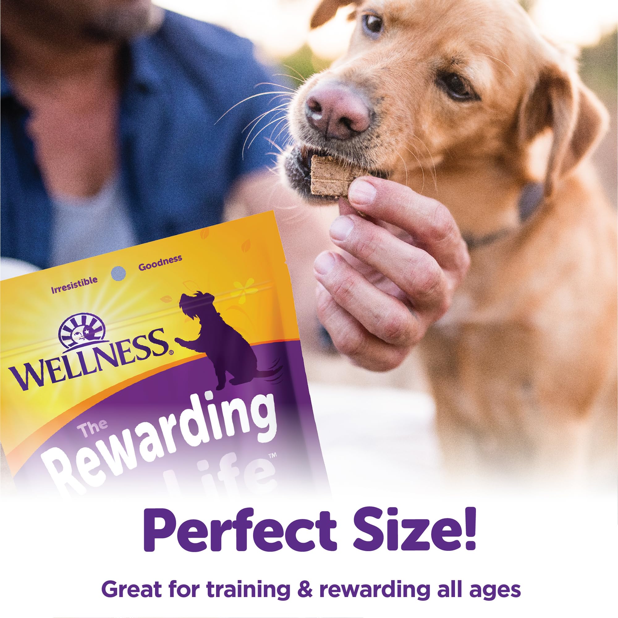Wellness Wellbites Soft & Chewy Variety Pack (5 Flavors, 6 Ounce Bags)