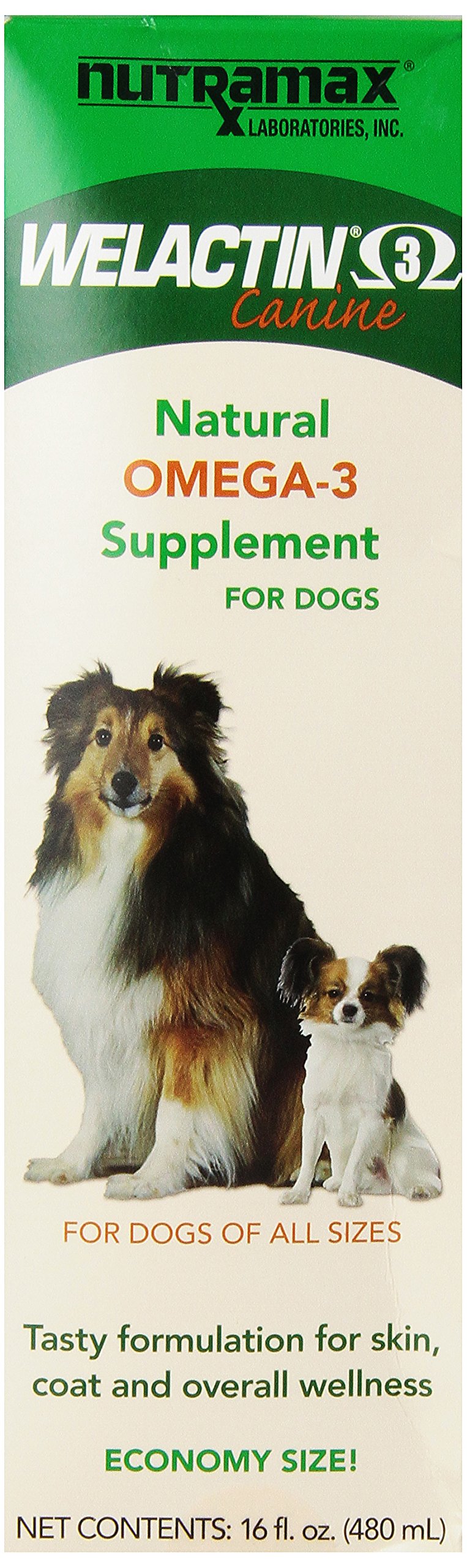 Nutramax Welactin Omega-3 Fish Oil Skin and Coat Health Supplement Liquid for Dogs - 16 Ounce 3 Pack