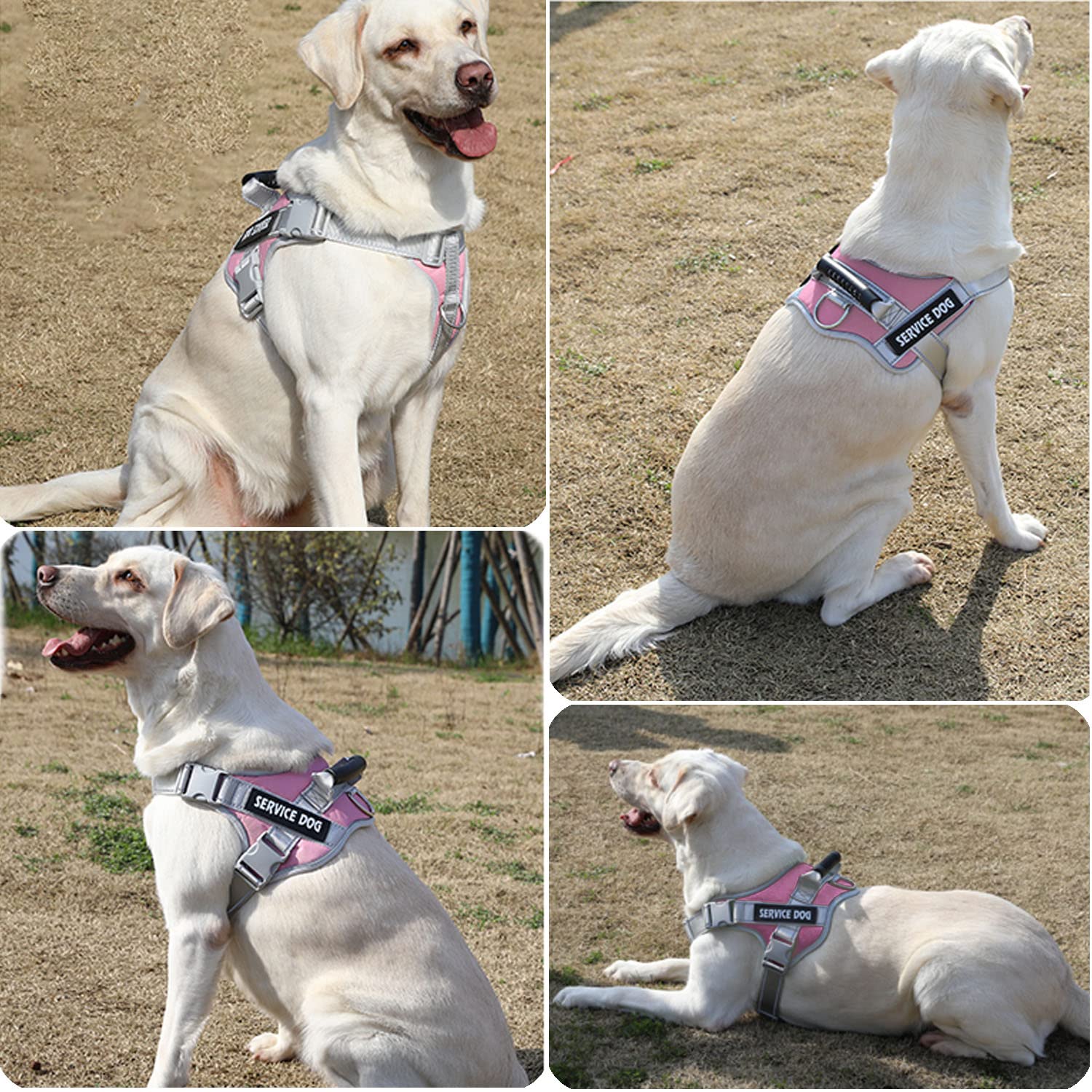 Dogmify Service Dog Vest,No Pull In Training Service Dog Harness And 5Ft Dog Leash Set, Adjustable 3M Reflective Nylon Pet Dog Vest With Handle,Easy Control For Small Medium Large Dogs(Xl,Pink)