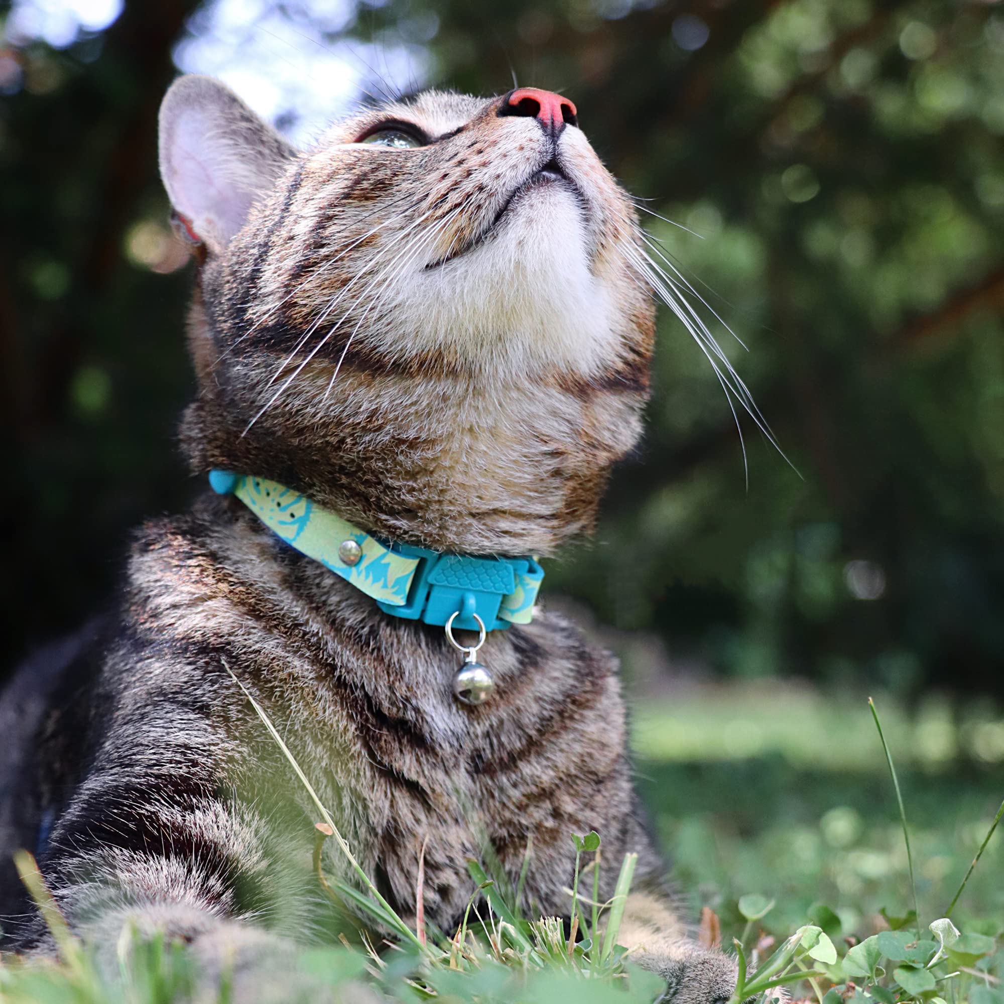 Kittyrama Botanicals Jungle Cat Collar. Award Winning. Hypoallergenic, Quick Release Breakaway, Comfy & Soft. Vet Approved. Othe