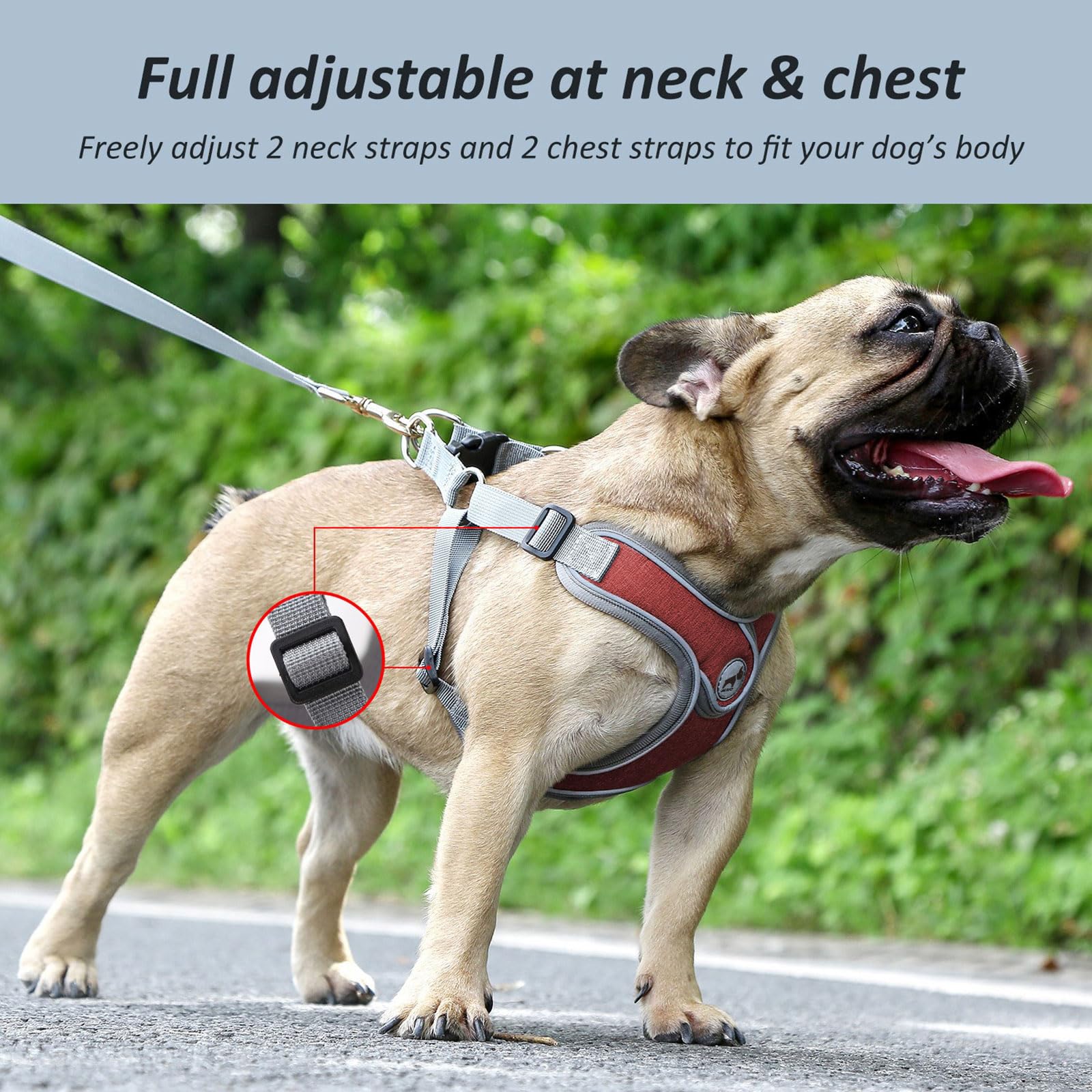 Dog Harness with Leash Set, Adjustable Step in with Breathable Padded Puppy Harness for Walking Escape Proof Small Dogs (XS, Red