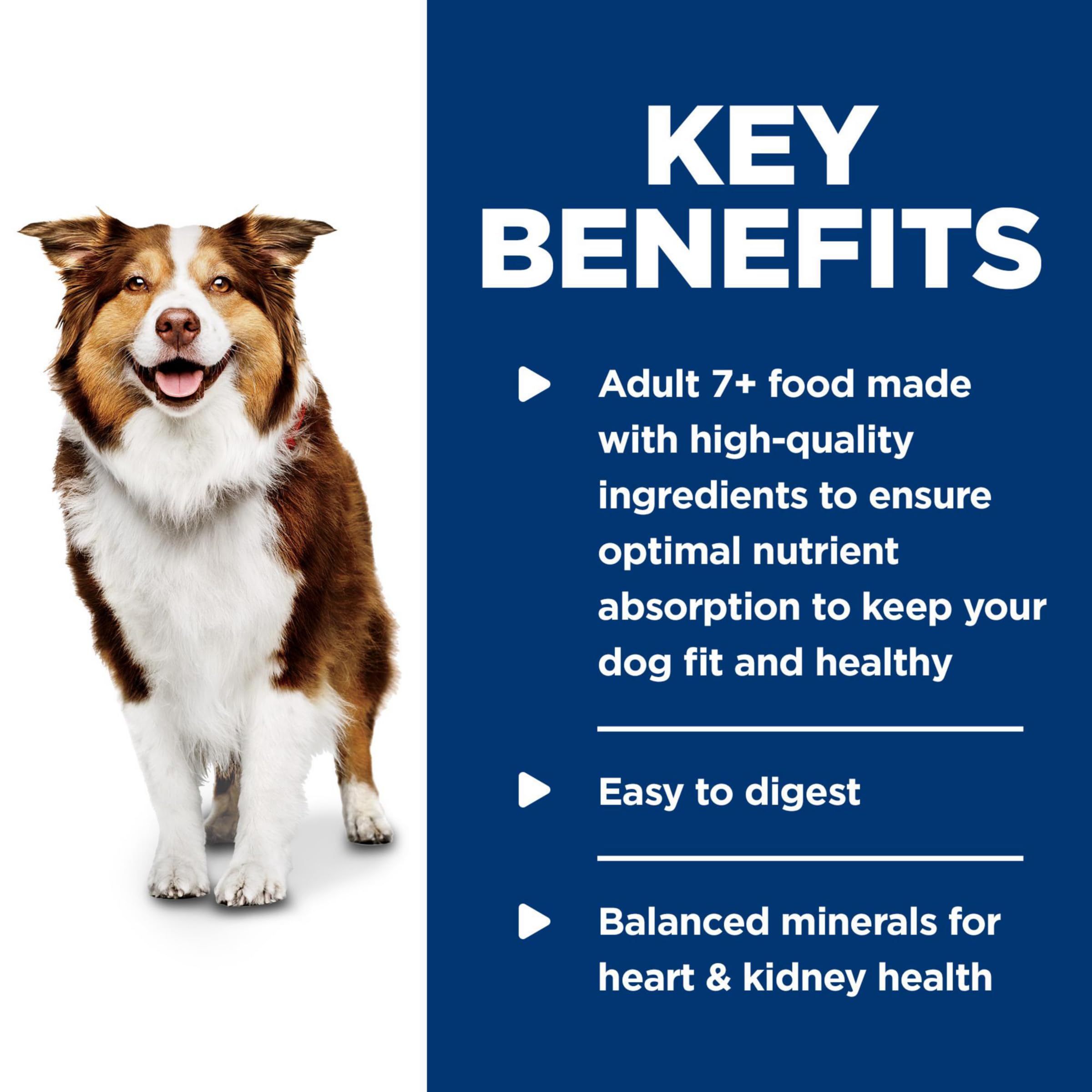 Hills Science Diet Adult 7+, Senior Adult 7+ Premium Nutrition, Wet Dog Food, Chicken & Barley Loaf, 13 oz Can, Case of 12