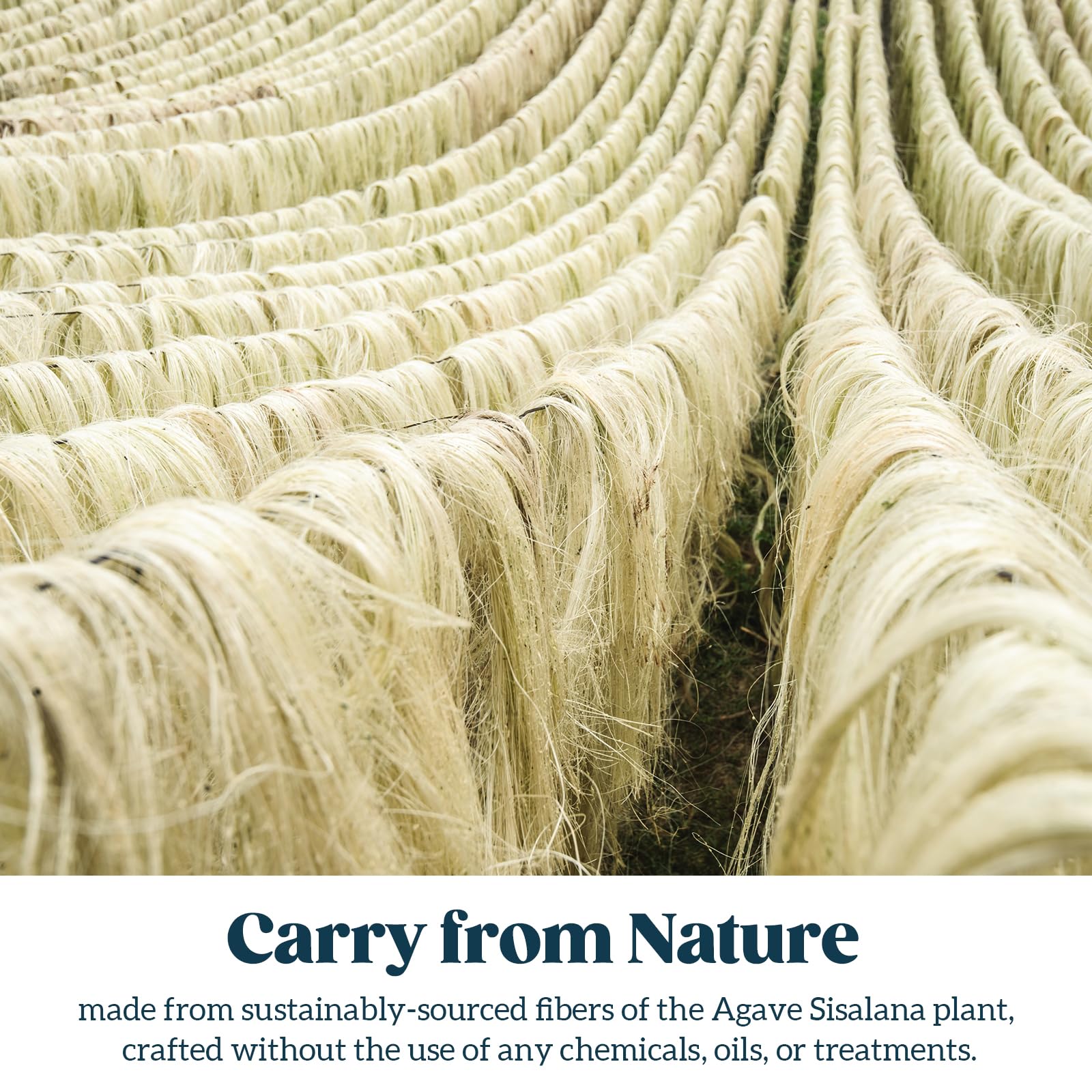 Pelzin Natural Sisal Rope for Cat Scratcher 1/4 Inch by 150 Feet, Cat Tree Rope Twine for Cat Scratching Post Replacement, Cat T