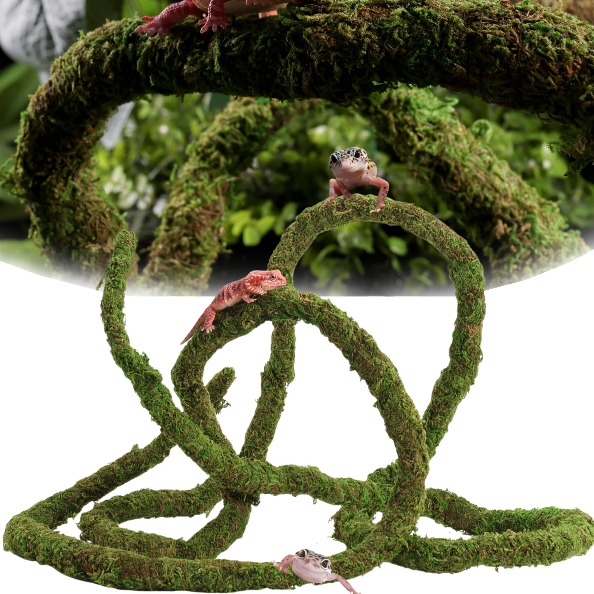 USMOLA Moss Vine for Reptiles, Bendable Climbing Vines Reptile Tank Accessories, Natural Moss Rope for Leopard Gecko, Lizard, Sn