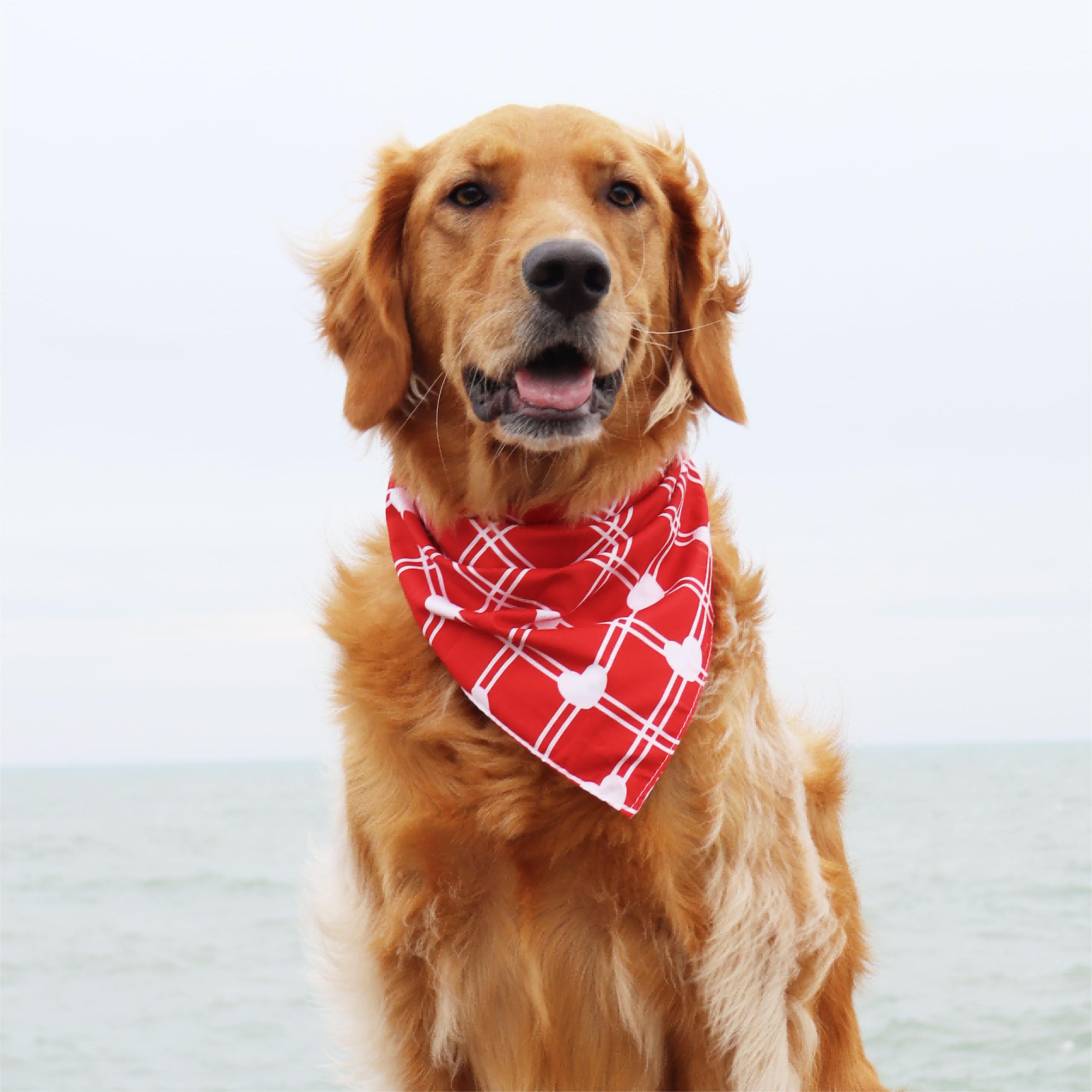 Crowned Beauty Valentines Day Dog Bandanas Large 2 Pack,Red Heart Adjustable Triangle Holiday Plaid Reversible Scarves For Mediu