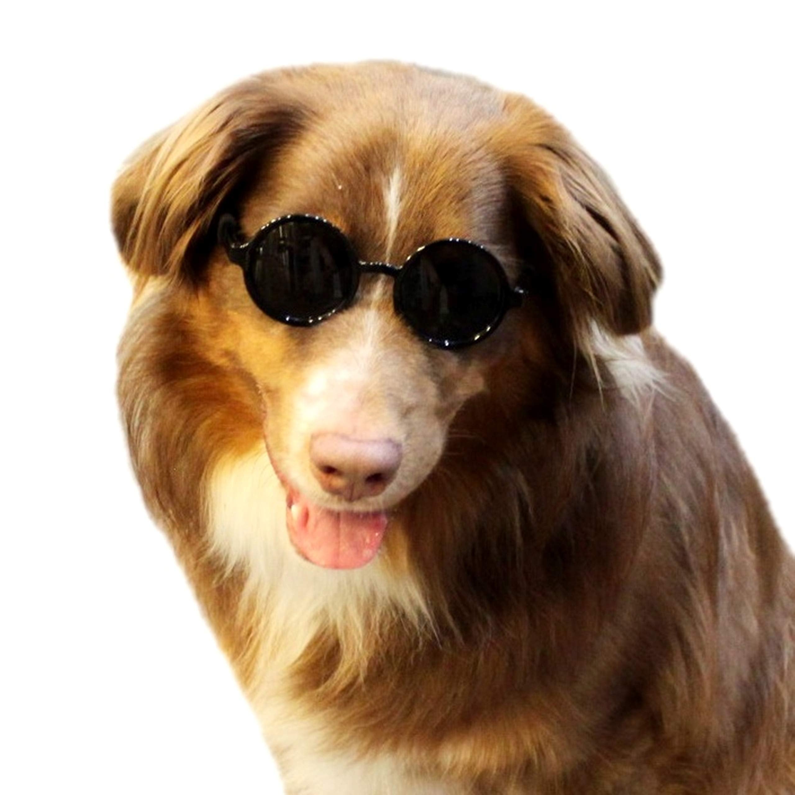 G001 Dog Cat Pet Costume Prop Round Sunglasses Medium Breeds 20-40 Lbs (Black + Black)
