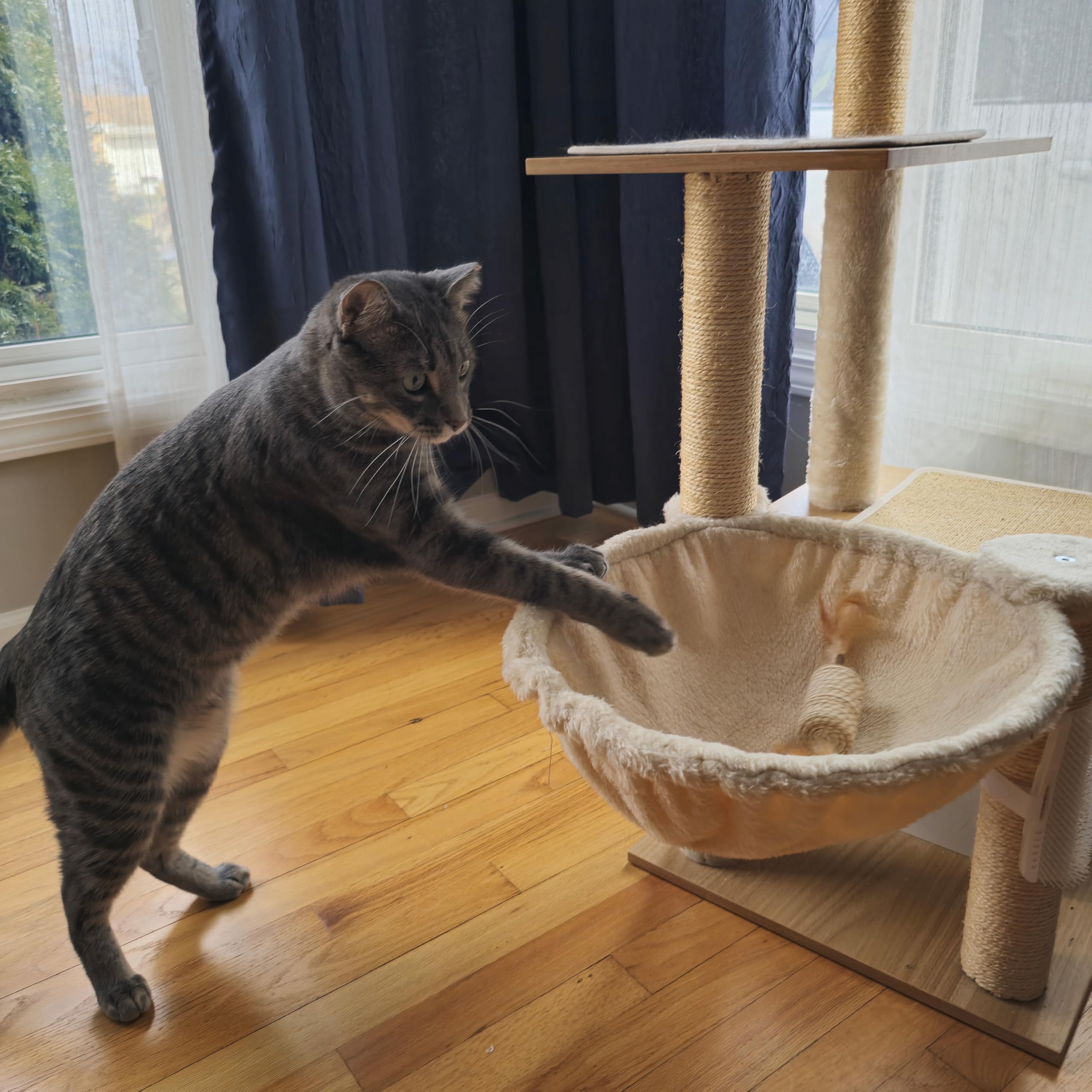 Spot Naturals Silver Vine Cat Toy ?Natural Interactive Enrichment For Cats, Stimulates Play And Reduces Stress, Durable And Safe, Perfect For Indoor Cats And Kittens, Assorted Styles, 1 Piece