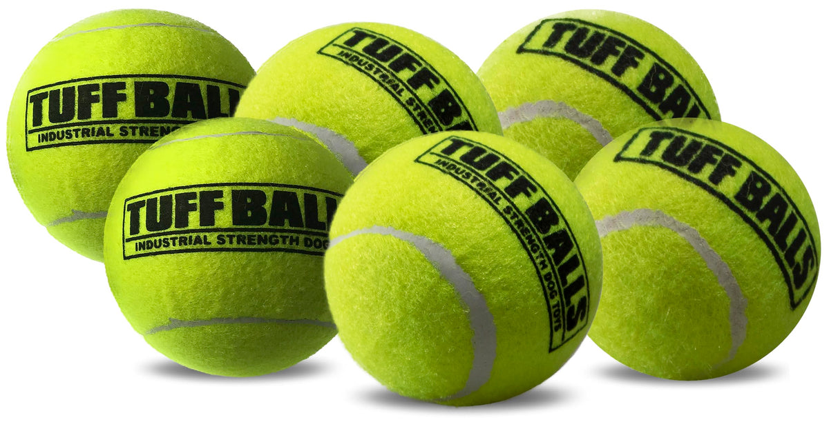 Petsport Usa 2.5' Tuff Balls For Medium Dogs [Pet Safe Non-Toxic Industrial Strength Tennis Balls For Exercise, Play Time & Dog Training](6 Pack)