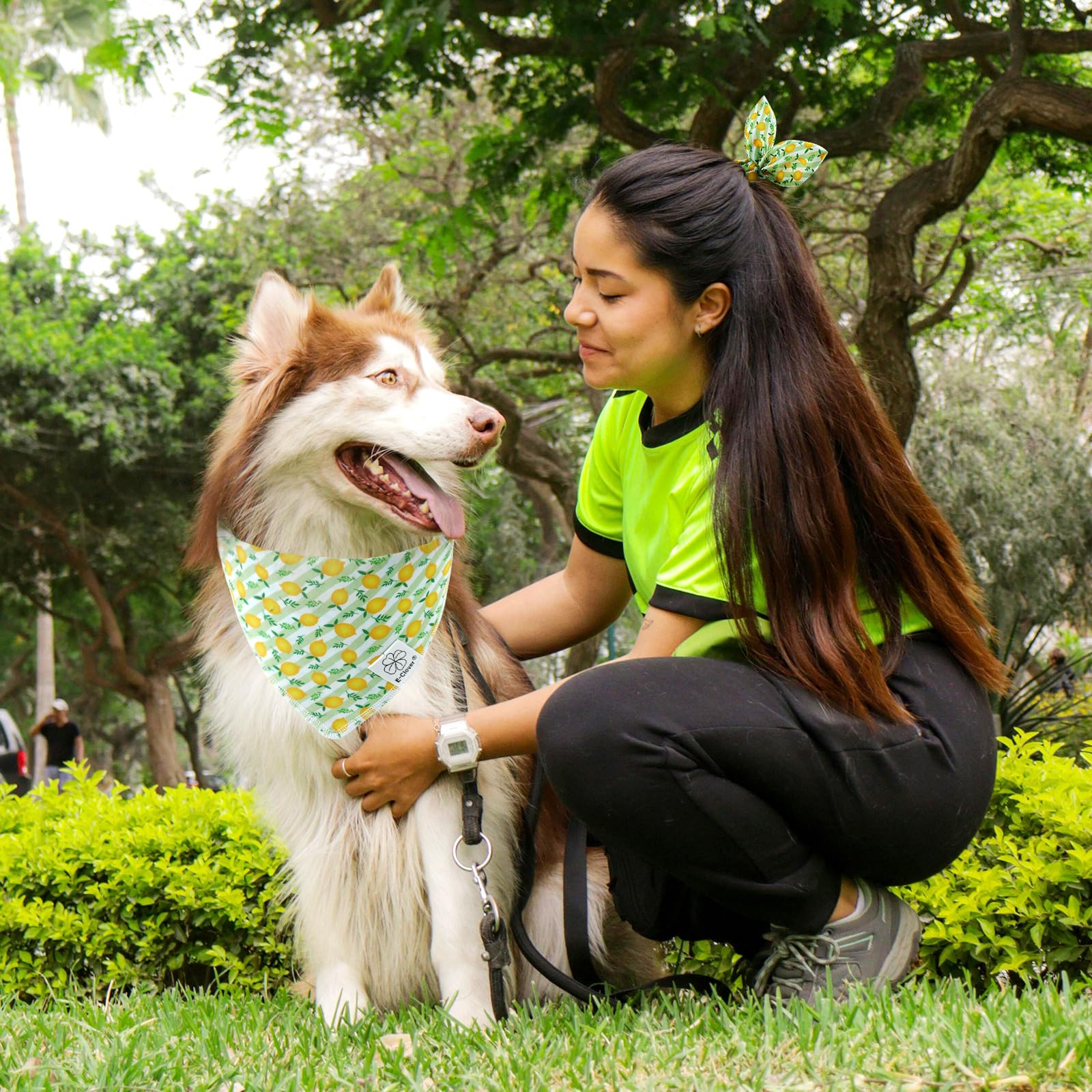 E-Clover Summer Lemon Dog Bandanas & Matching Scrunchie Set Green Stripe Dog Scarf Bibs Pet Bandana With Bow Tie For Medium Larg
