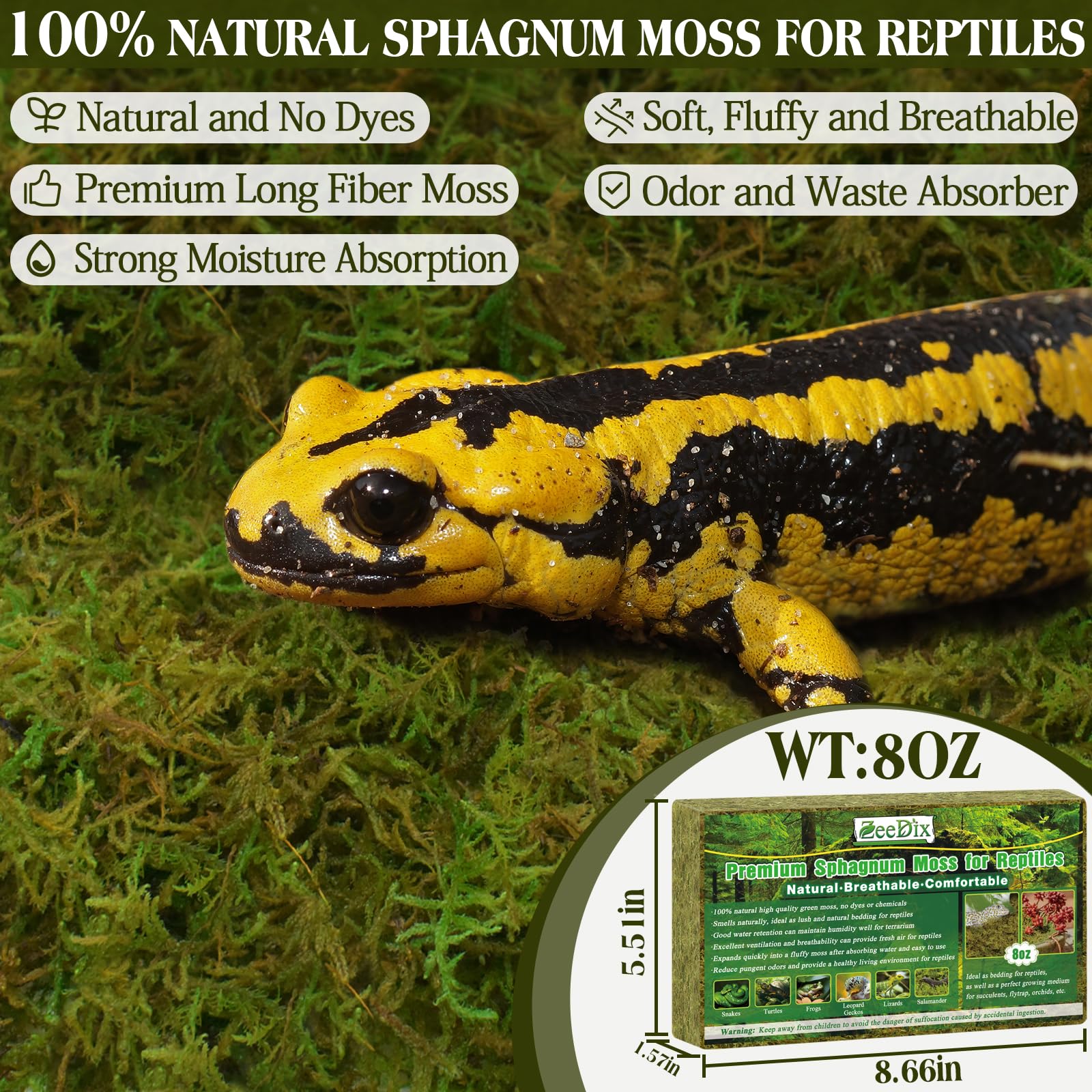 ZeeDix 8OZ Premium Sphagnum Moss for Reptile, 12QT Green Natural Live Moss Reptile Moss Bedding for Terrarium Plants, Long Fiber