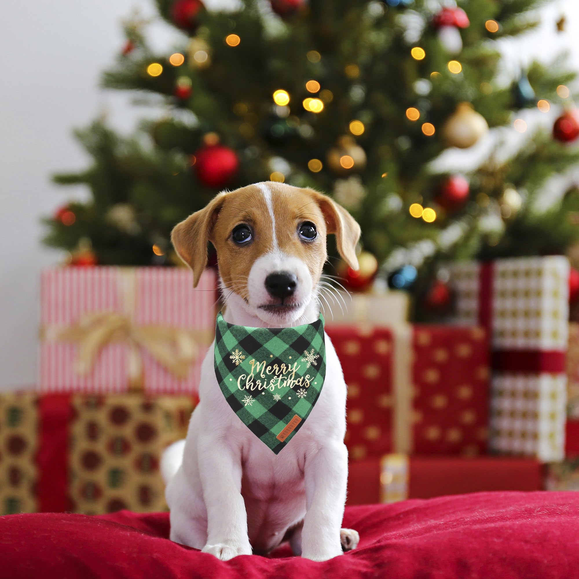 Adoggygo 2 Pack Christmas Dog Plaid Bandana Triangle Bib Set Pet Scarf Accessories For Small Dogs Pets (Christmas-2, Small)