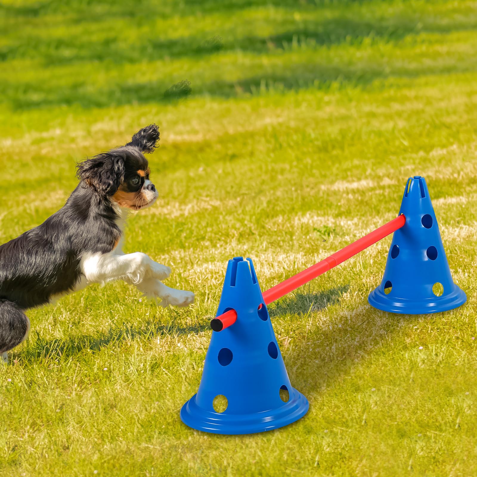 Glimin Dog Agility Hurdle Cone Set Dog Agility Course Backyard Set Include 12 Agility Cones 6 Agility Rods Training Equipment Ad