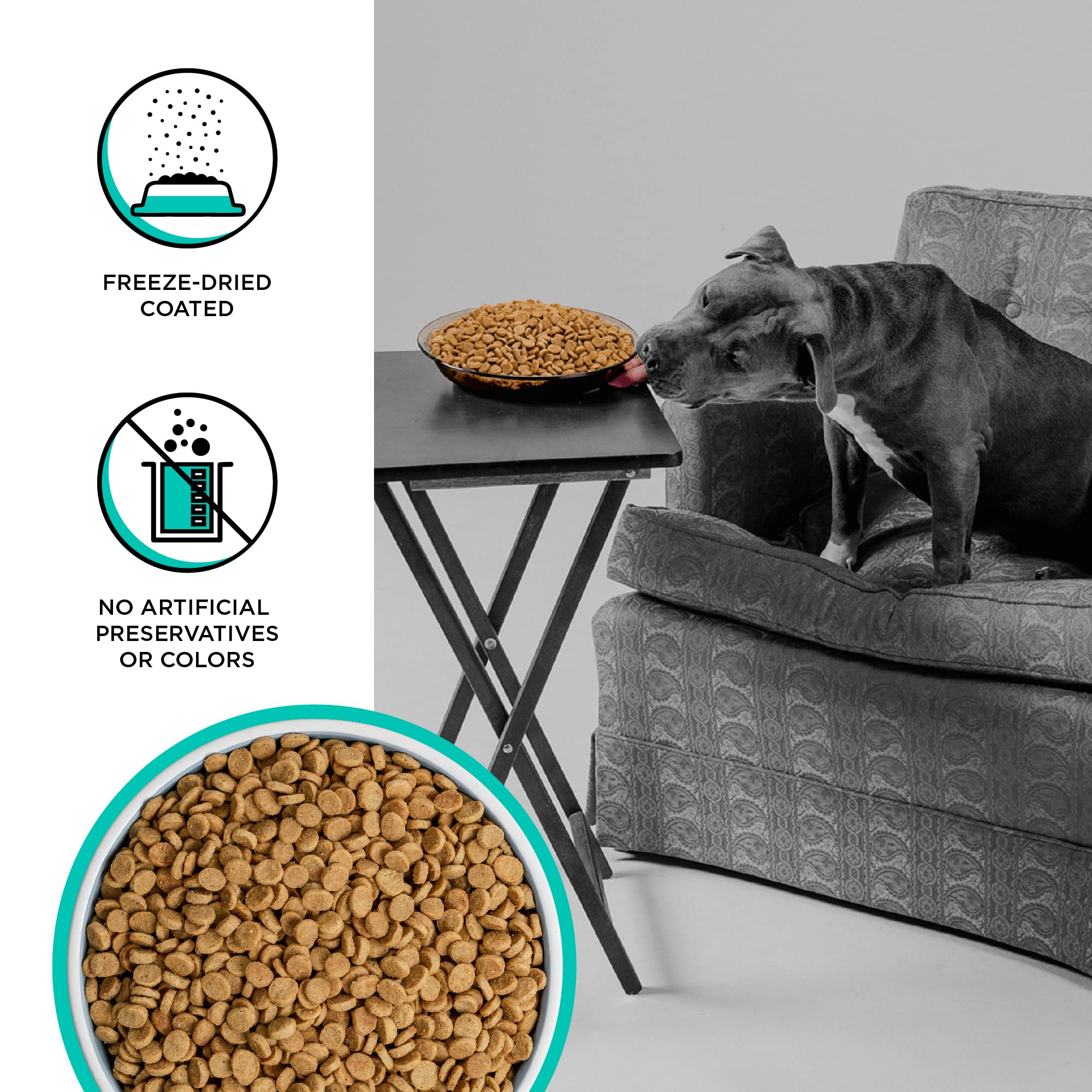 BIXBI Rawbble Dry Dog Food, Duck, 4 lbs - USA Made with Fresh Meat - No Meat Meal & No Corn, Soy or Wheat - Freeze Dried Raw Coa