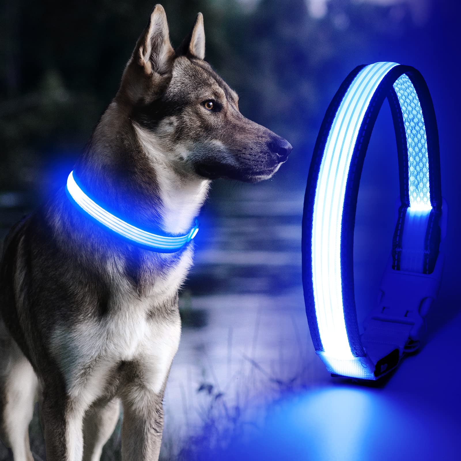 Yfbrite Full Adjustbale Led Dog Collar, Full Illuminated Light Up Dog Collars, Reflective Dog Collar Light Glowing In The Dark For All Dogs Safety (Medium, Blue-2)