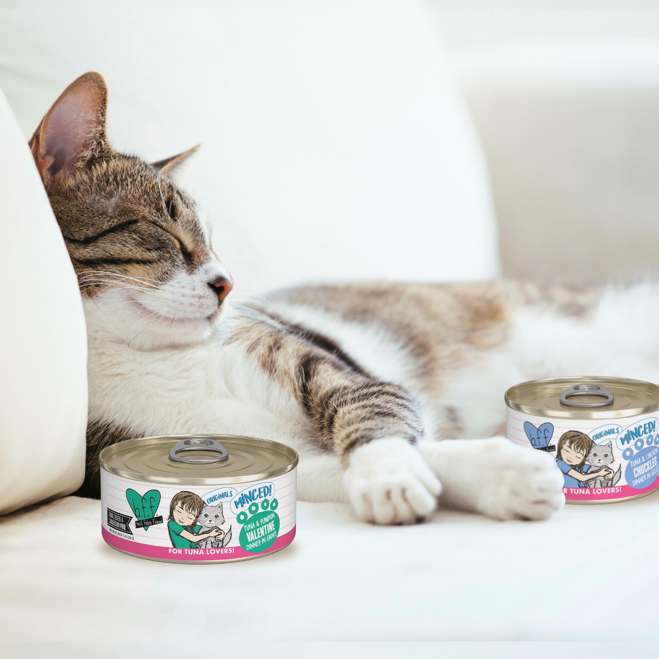 Weruva Best Feline Friend (B.F.F.), Big Feline Feast Variety Pack, Wet Cat Food, 10oz Cans (Pack of 12)